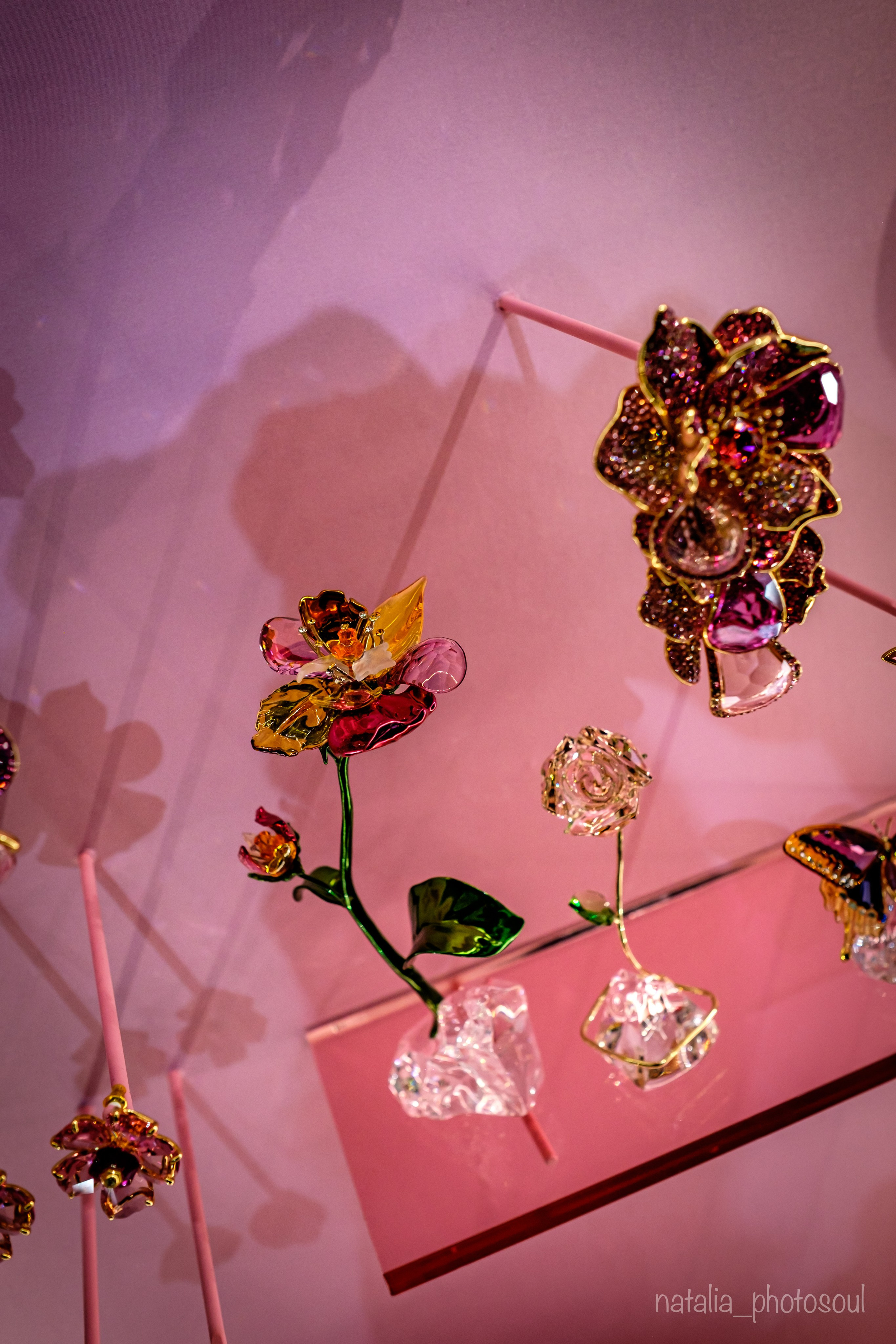 SWAROVSKI MASTERS OF LIGHT FROM VIENNA TO SEOUL. Photographer in Seoul Dobrokvashina Natalya