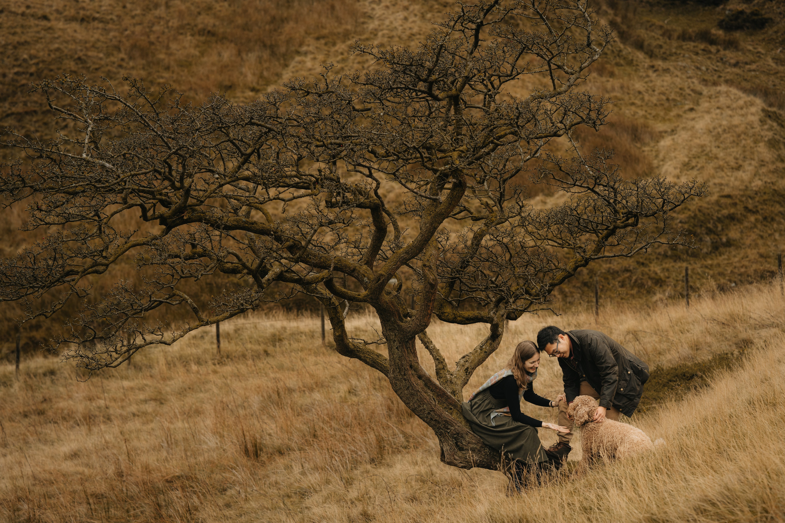 Prices & packages. Tania Gandrabur, photographer in West Midlands, England