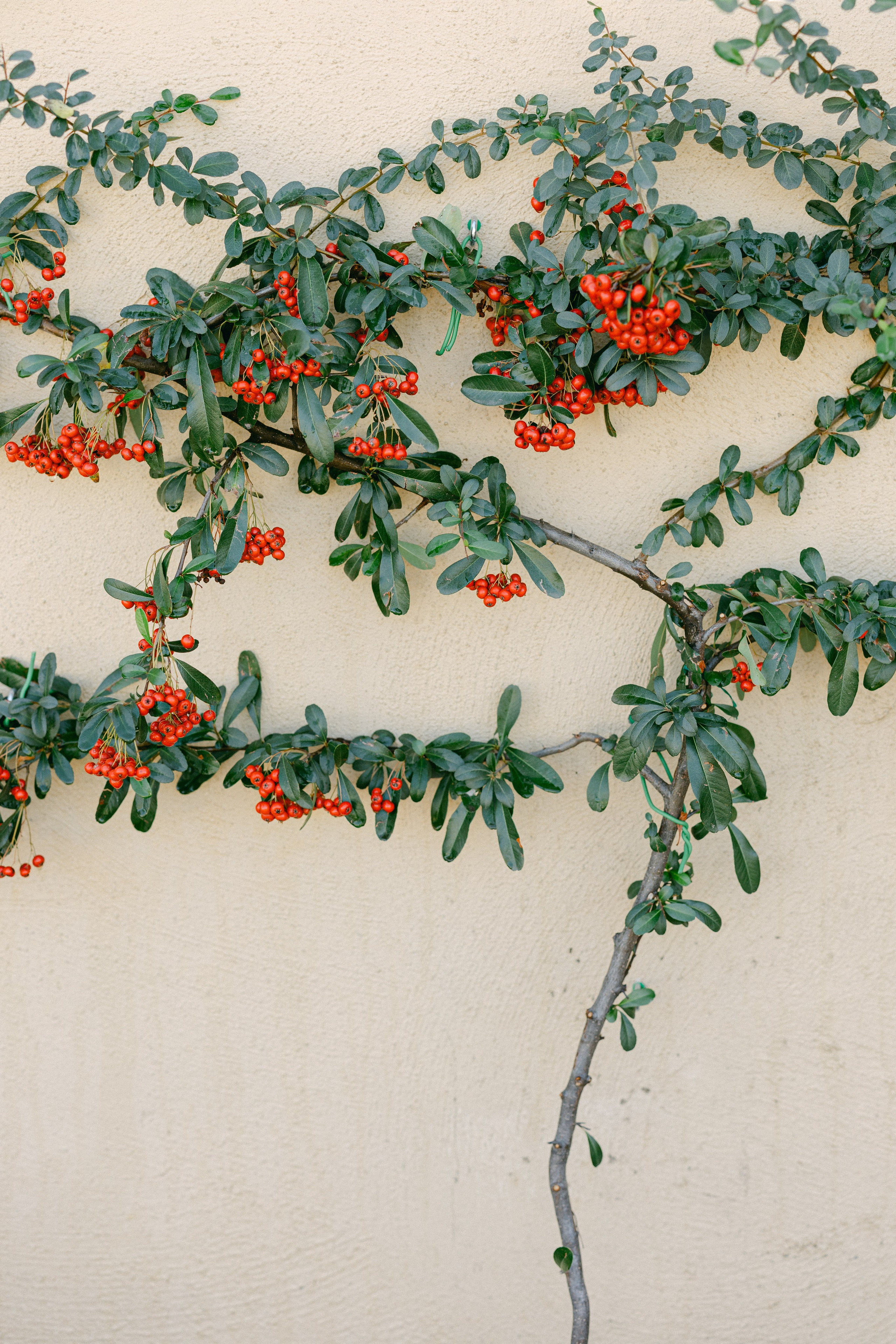 Фотосессия в г. Барановичи. Anastasia Post: Wedding and Editorial Photography