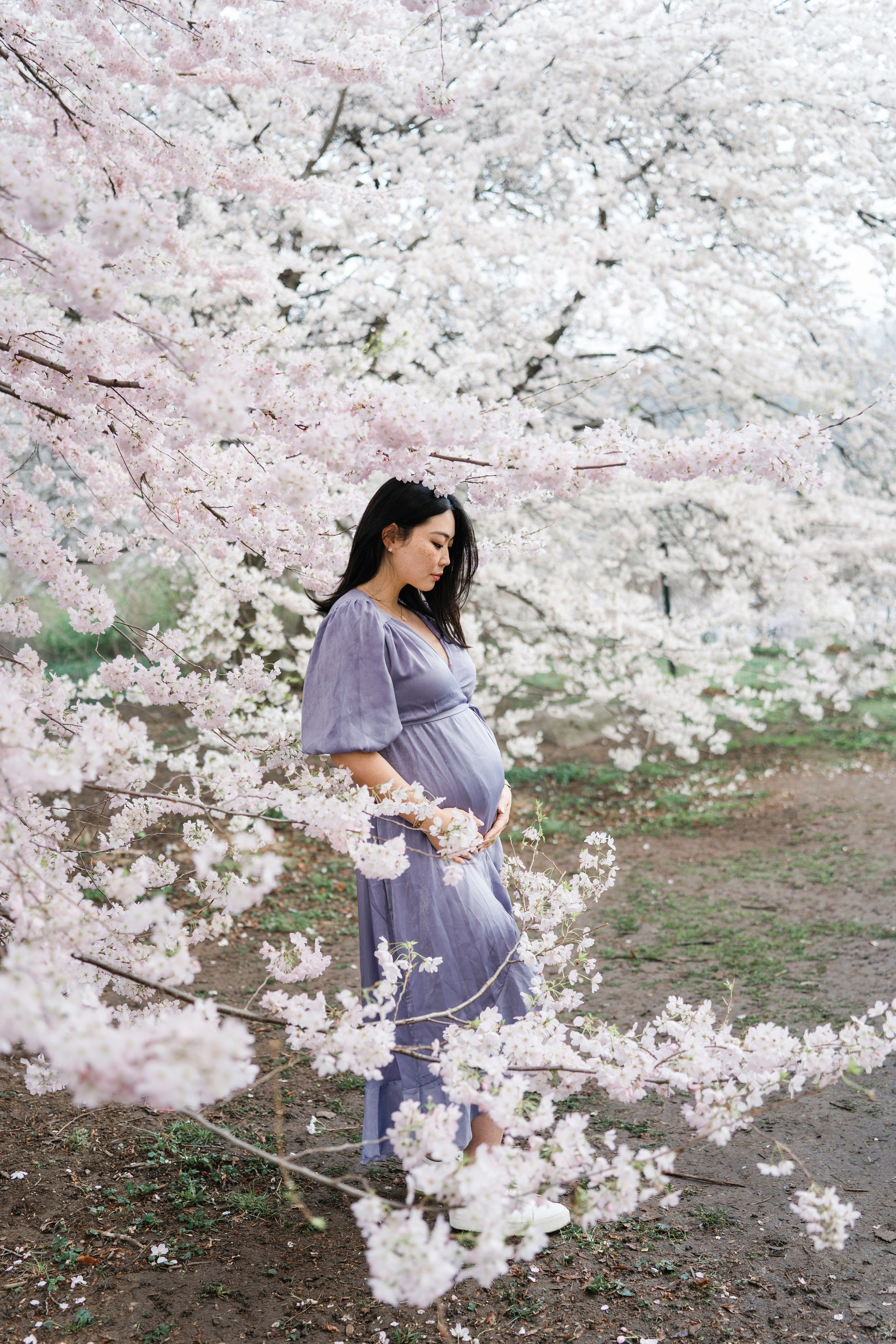 Sakura Photoshoot in New York. Photographer in New York Faery By Mary