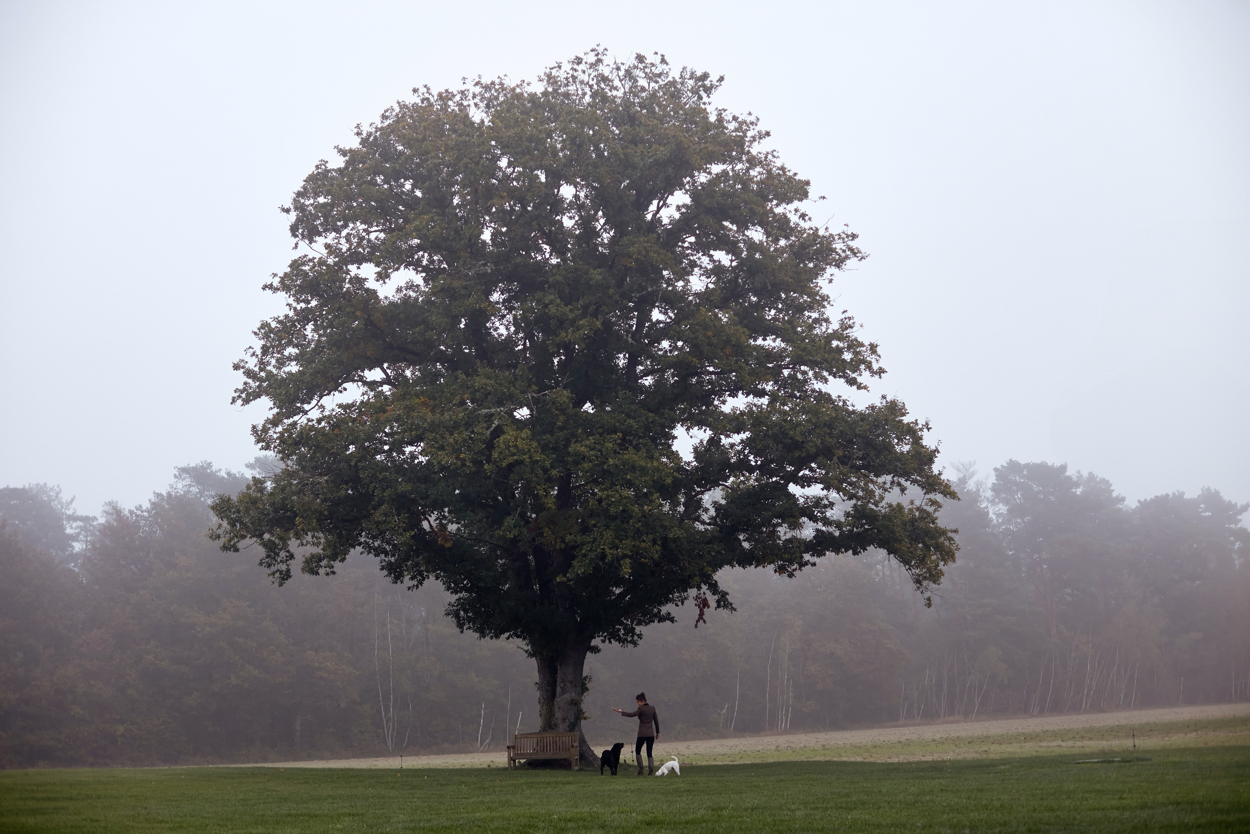 Amazing photo session at a time convenient for you. Y