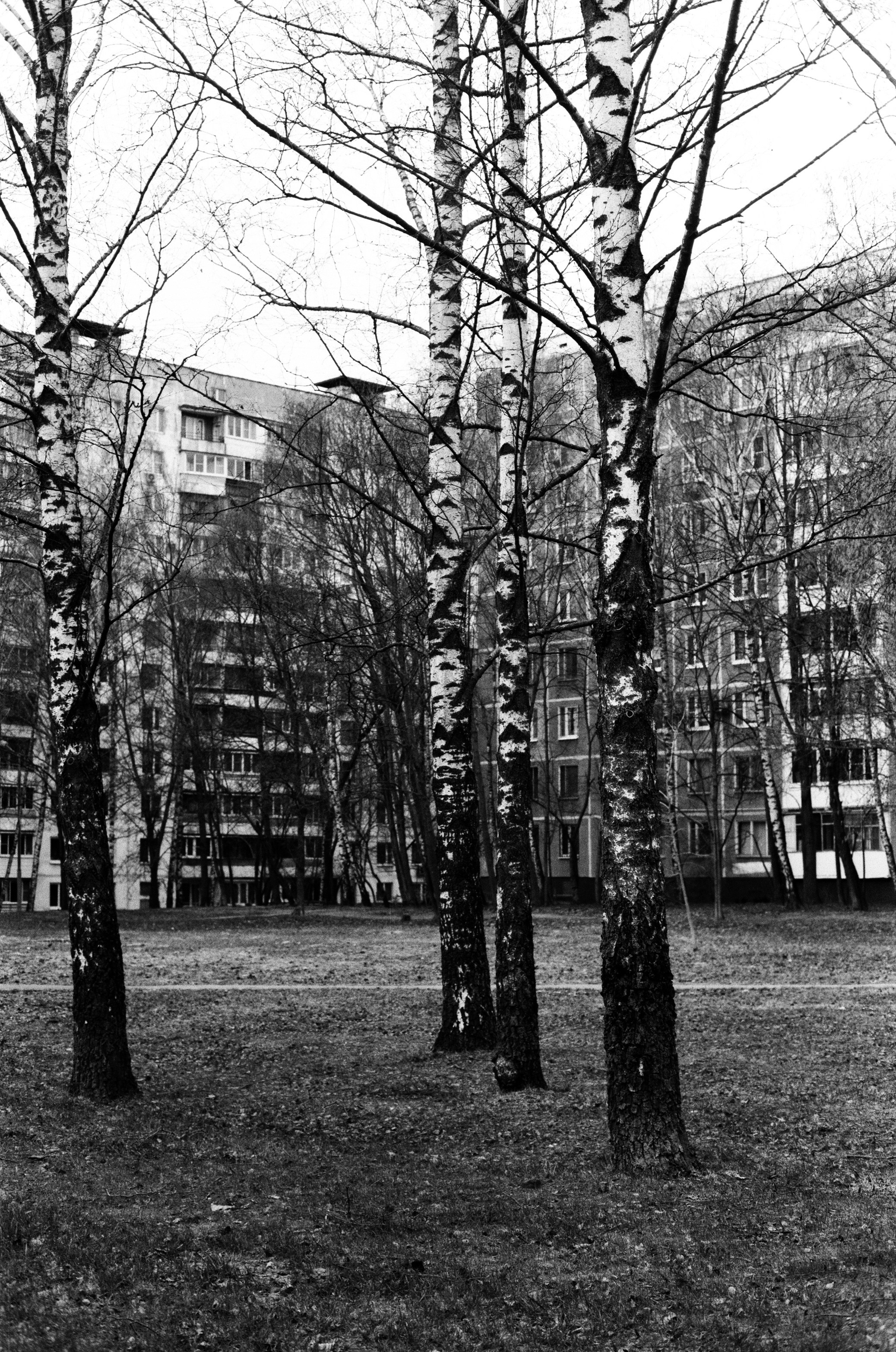 Я здесь живу. Екатерина Федорова