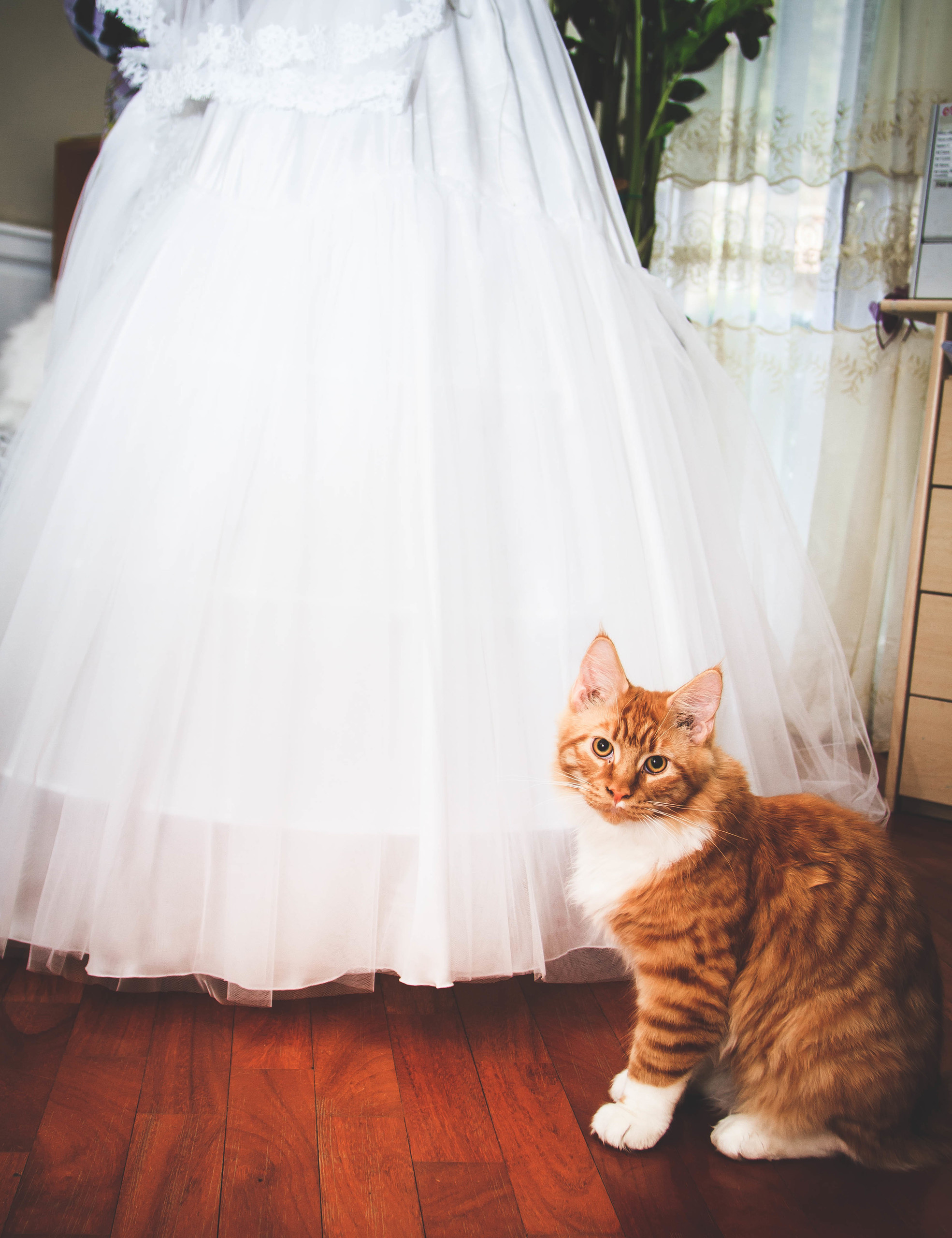 Счастливые. Family photographer in Tallinn Lia Usmanova