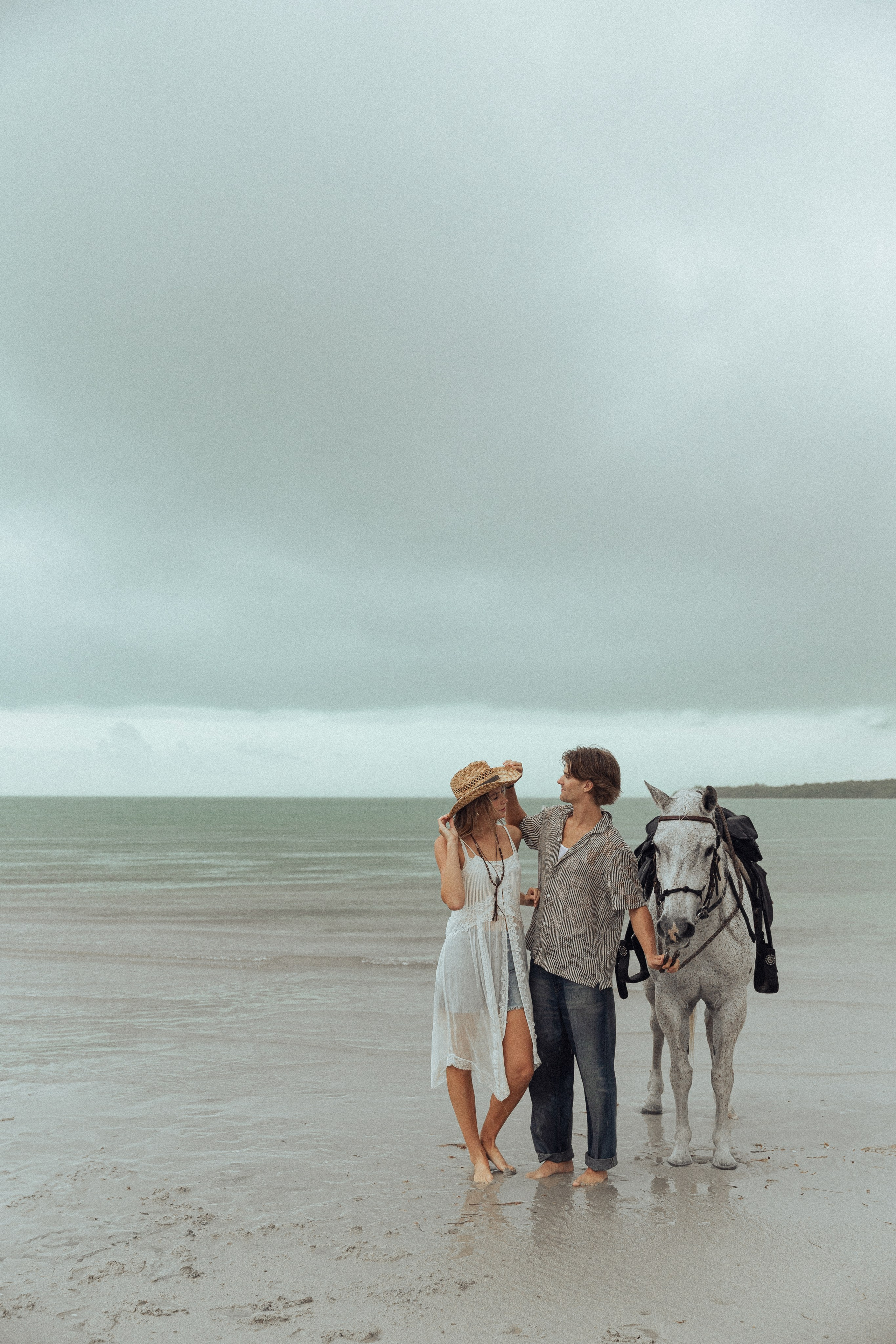 Minis With Horses (Massachusetts)