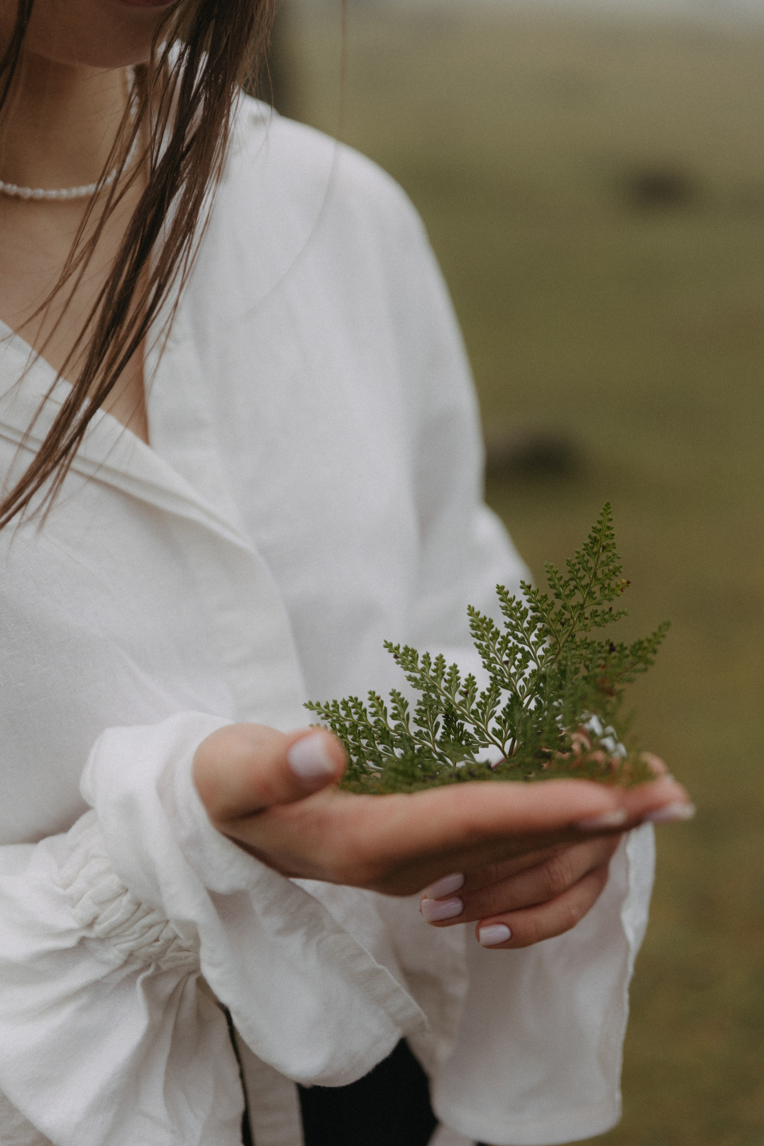 Magic of Fanal Forest. Wedding photographer and videographer based in Timisoara, Romania