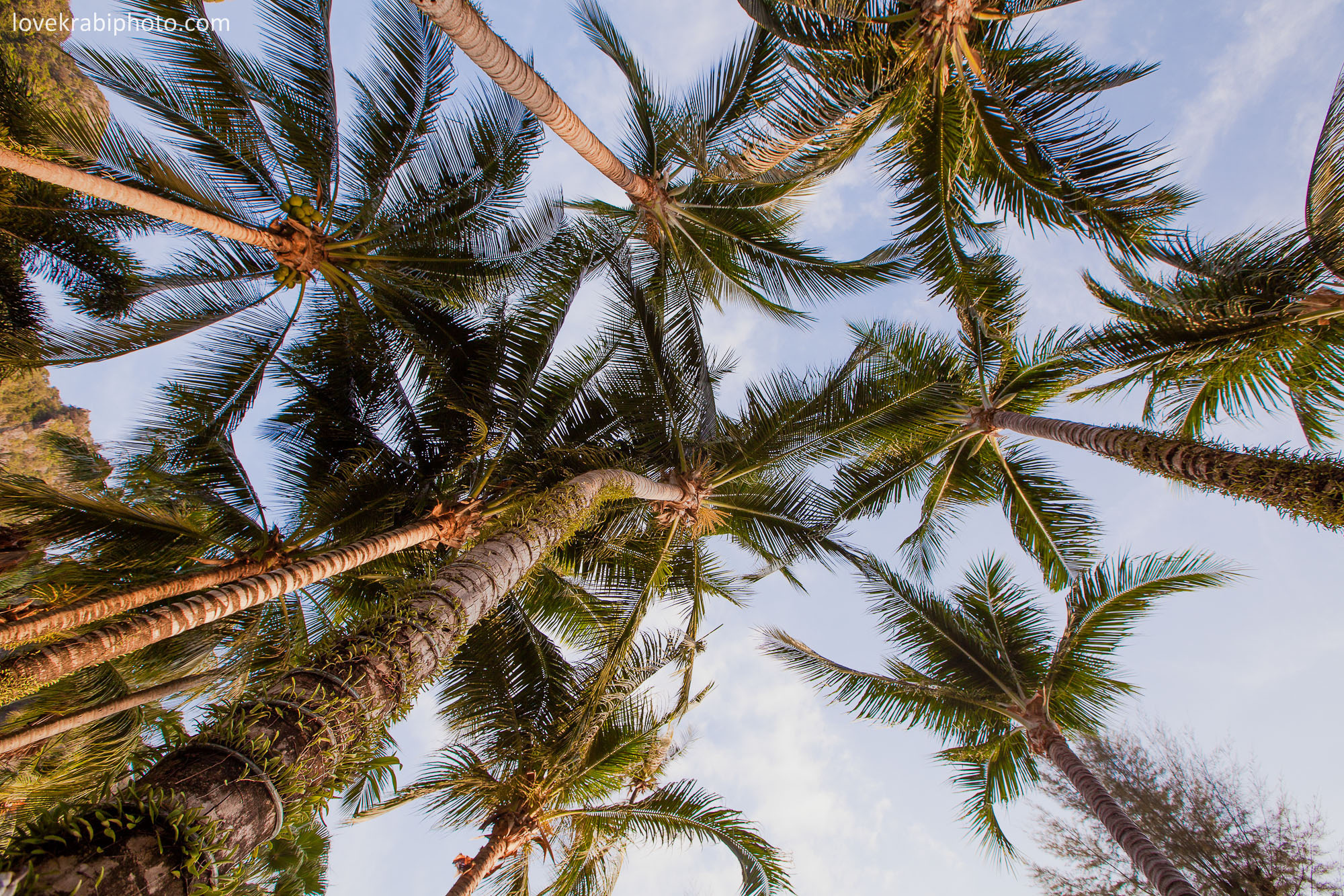 Centara Grand Krabi Proposal. Photography & Events Thailand Krabi