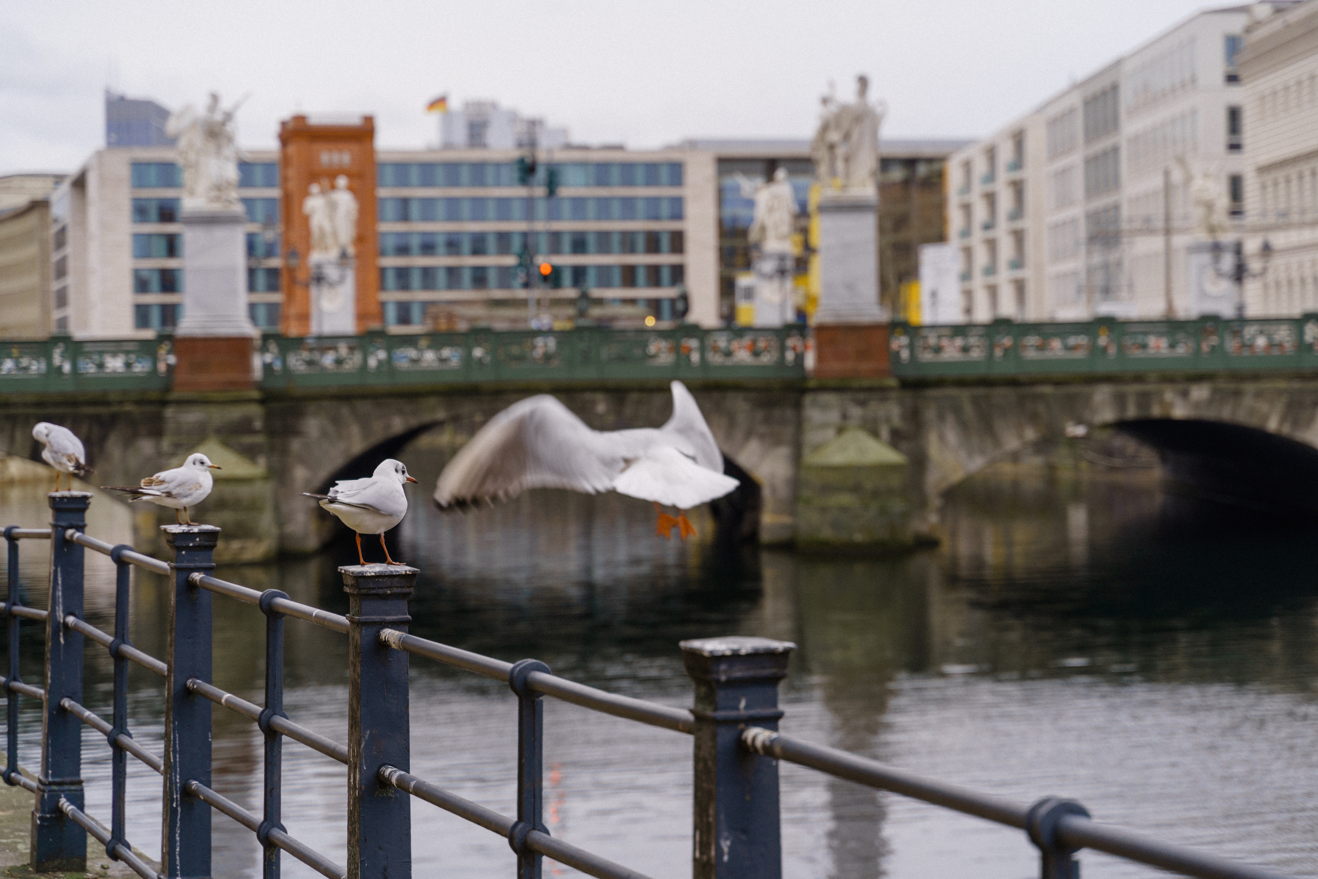 From Berlin with Love. Hochzeitsfotograf für Moers, Niederrhein, Düsseldorf, NRW und Deutschland