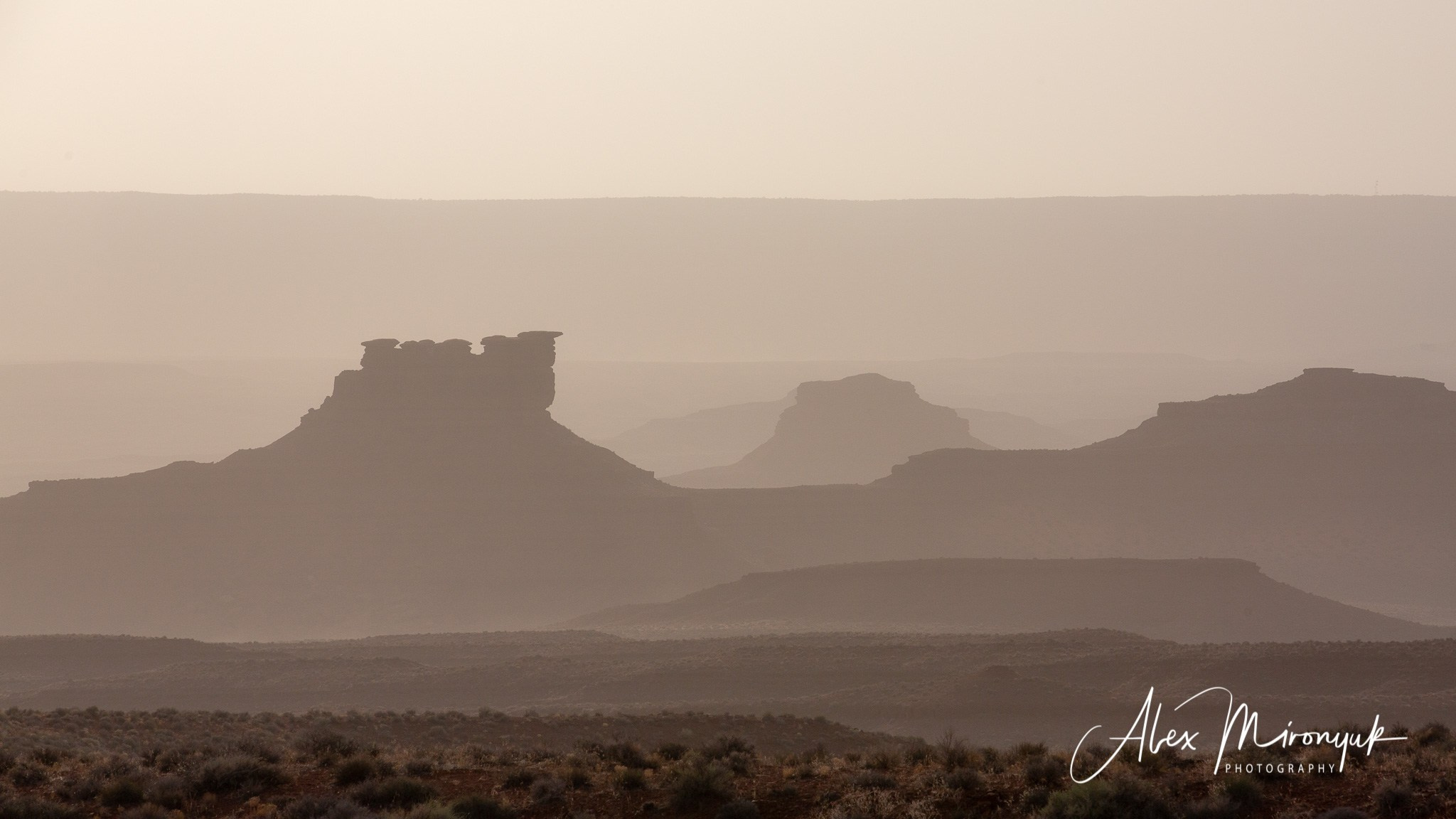 Eagle’s View American Southwest. Pet, Senior, Landscape, portrait studio, photographer in Miami and Sou