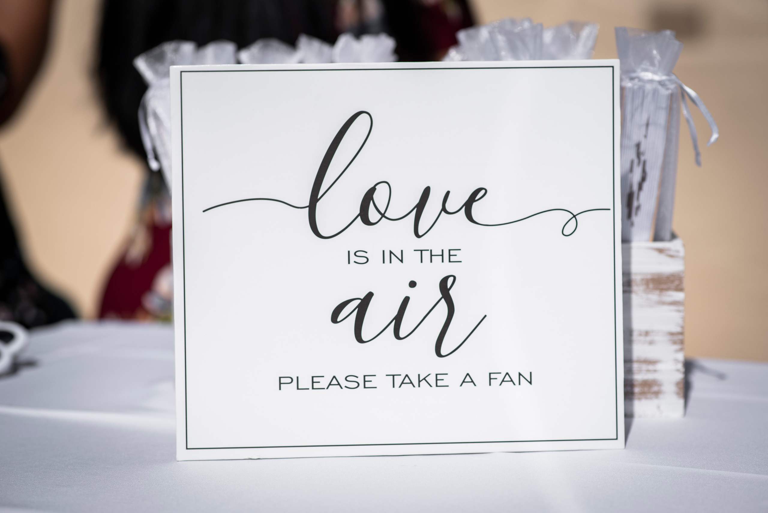 Wedding at Powel Crosley Estate. Wedding and Bar Mitzvah Photographer located in Central Florida