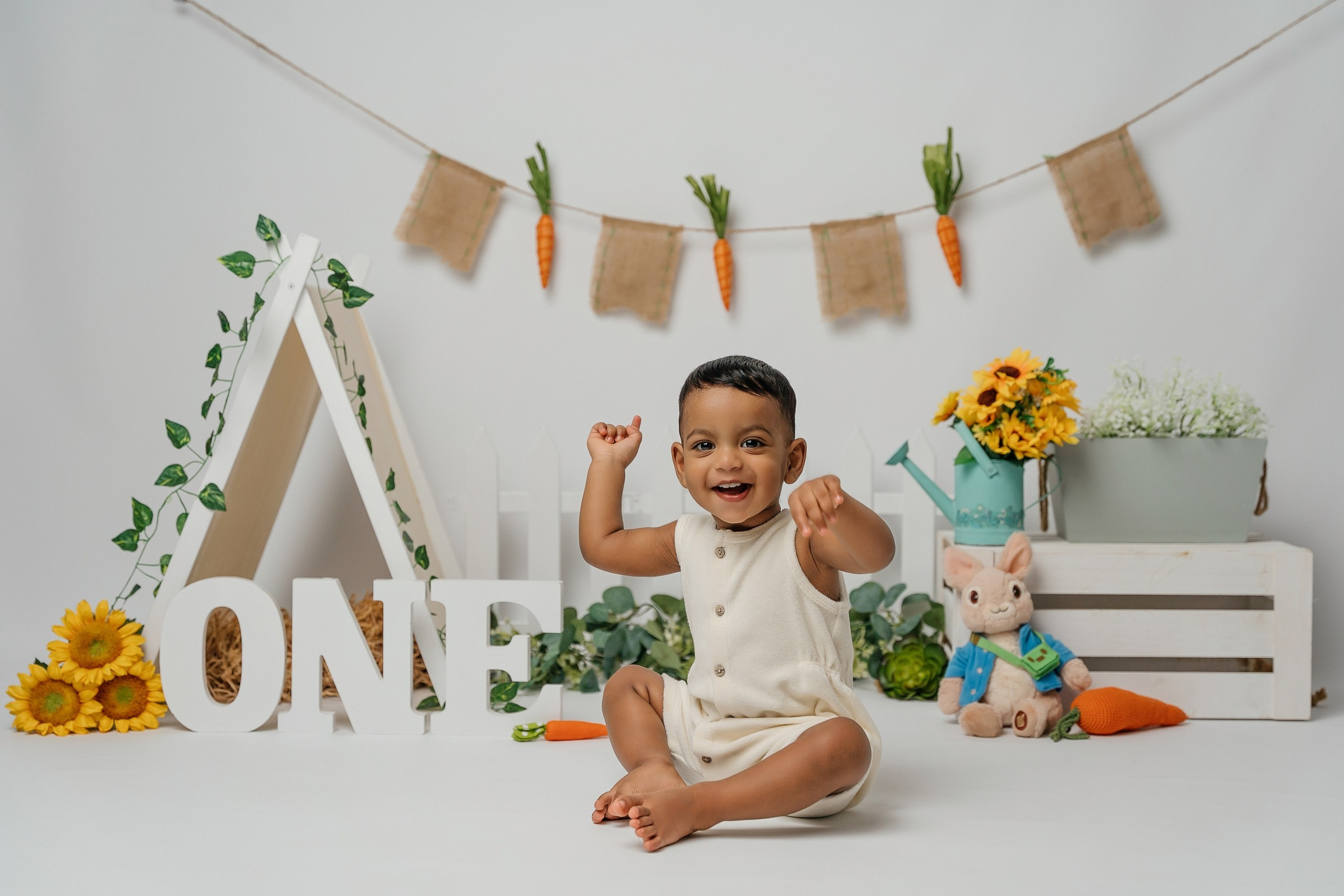 Peter rabbit cake smash session. Newborn and family photographer. Hills District. Sydney