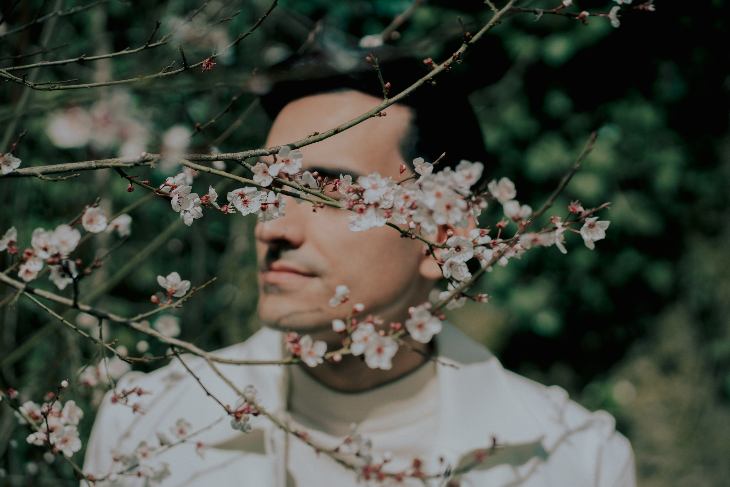 Pricing & Details. Лило Даниелян | Visual artist