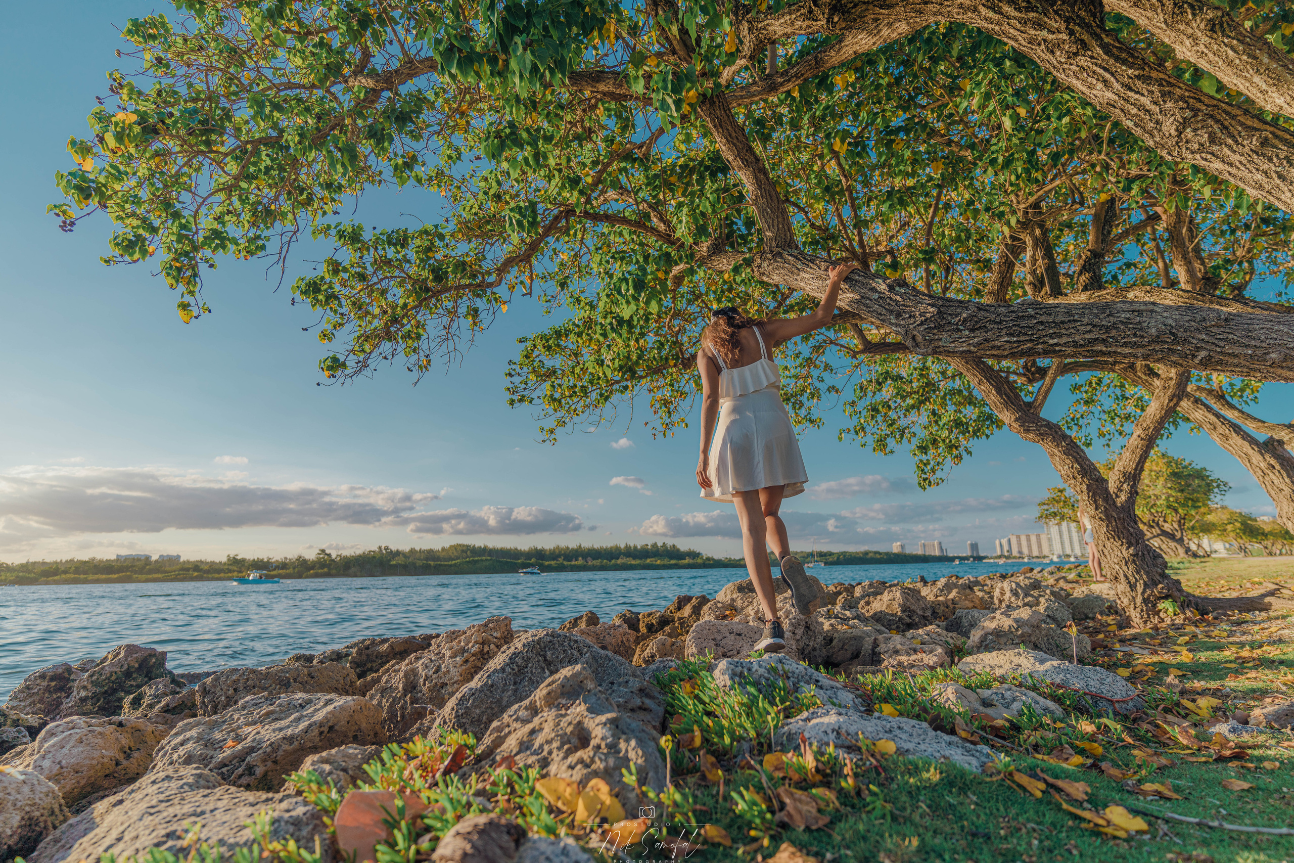 Photographer & Videographer in Miami, Florida. Photo & Video Production Studio #1