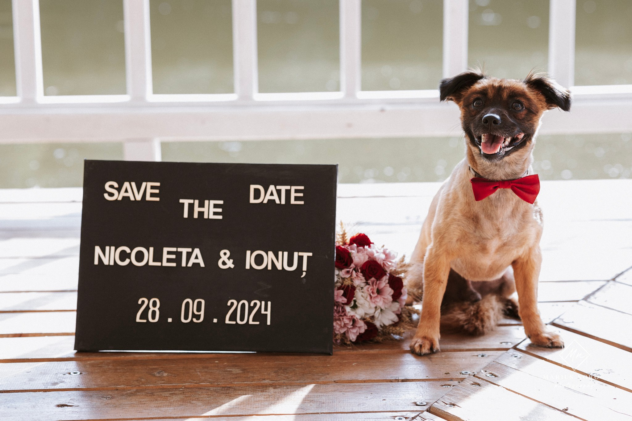 Nicoleta și Ionuț au ales Forest Events Cucorăni pentru ședința foto "