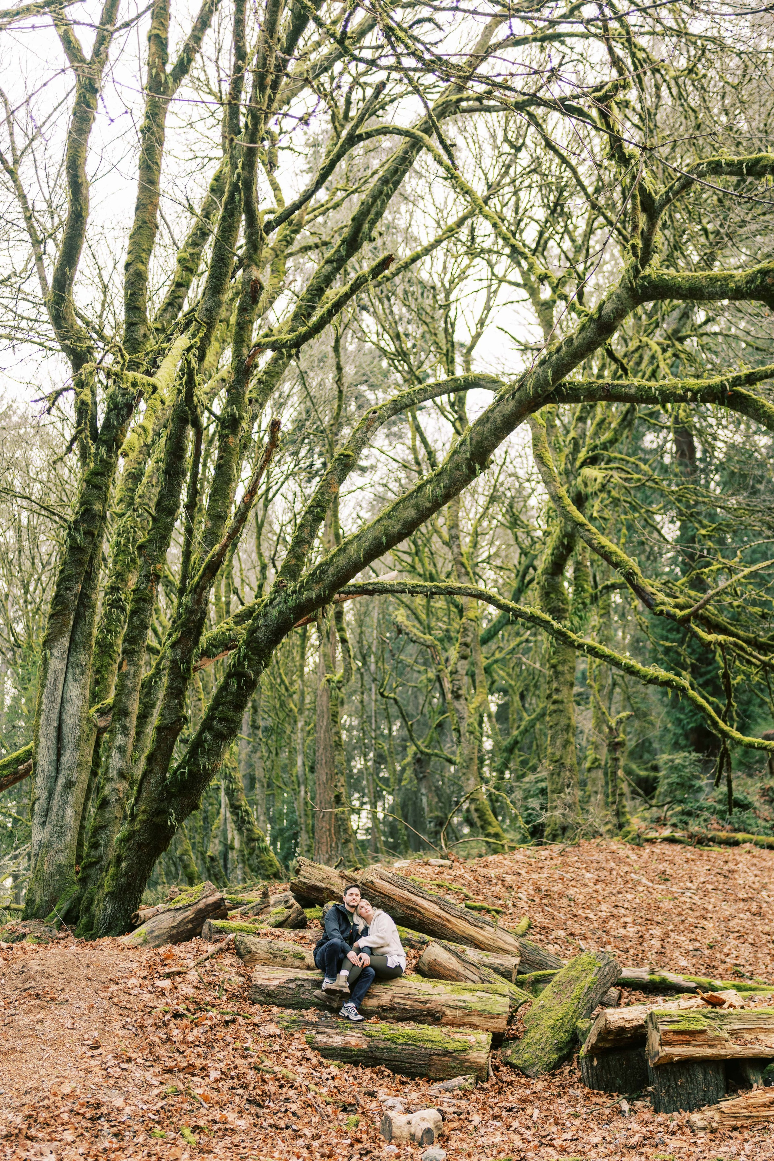 The love story of Elena and Roman / January 2024. EVAN ARISTOV WEDDING PHOTOGRAPHY — Seattle Wedding Photographer