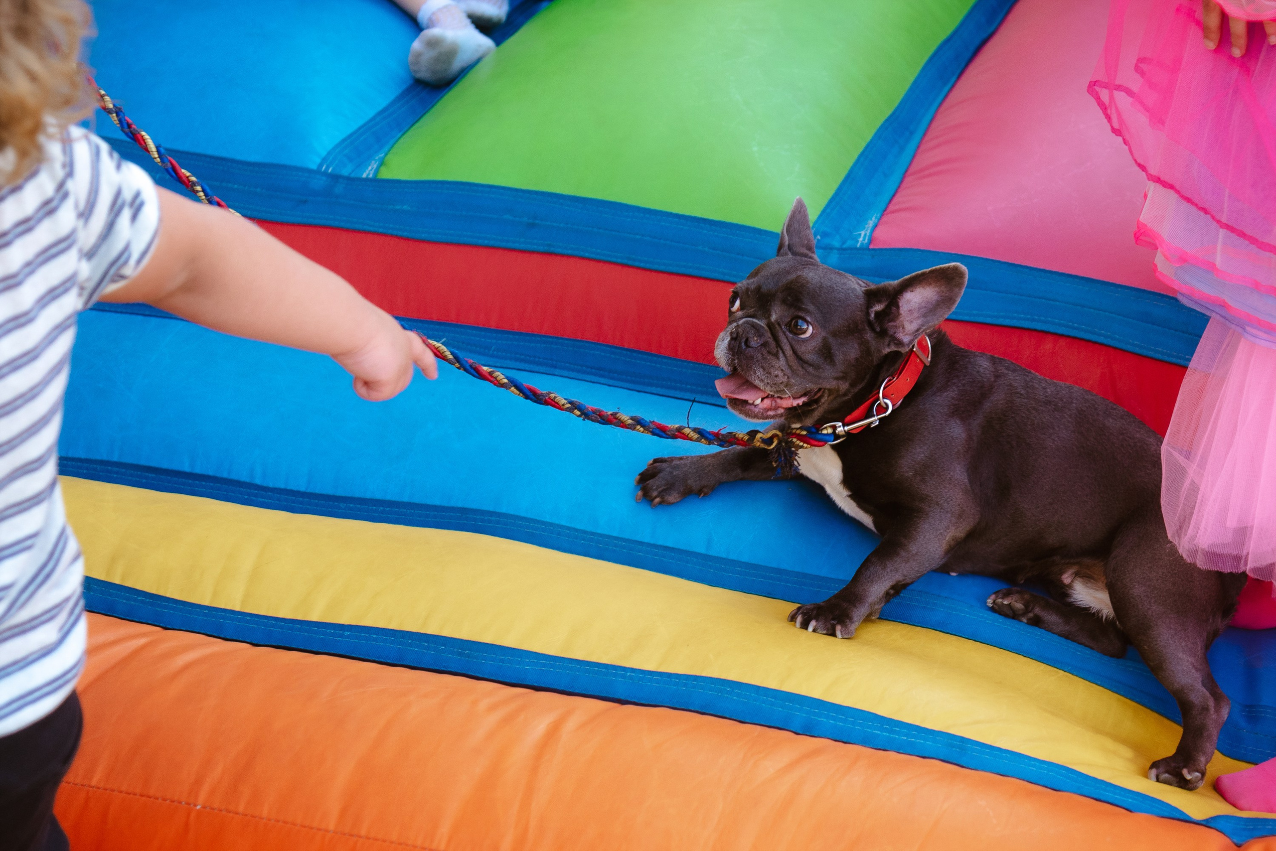 Children’s birthday photographer in Torrevieja, Alicante | Andrey Lukovnikov