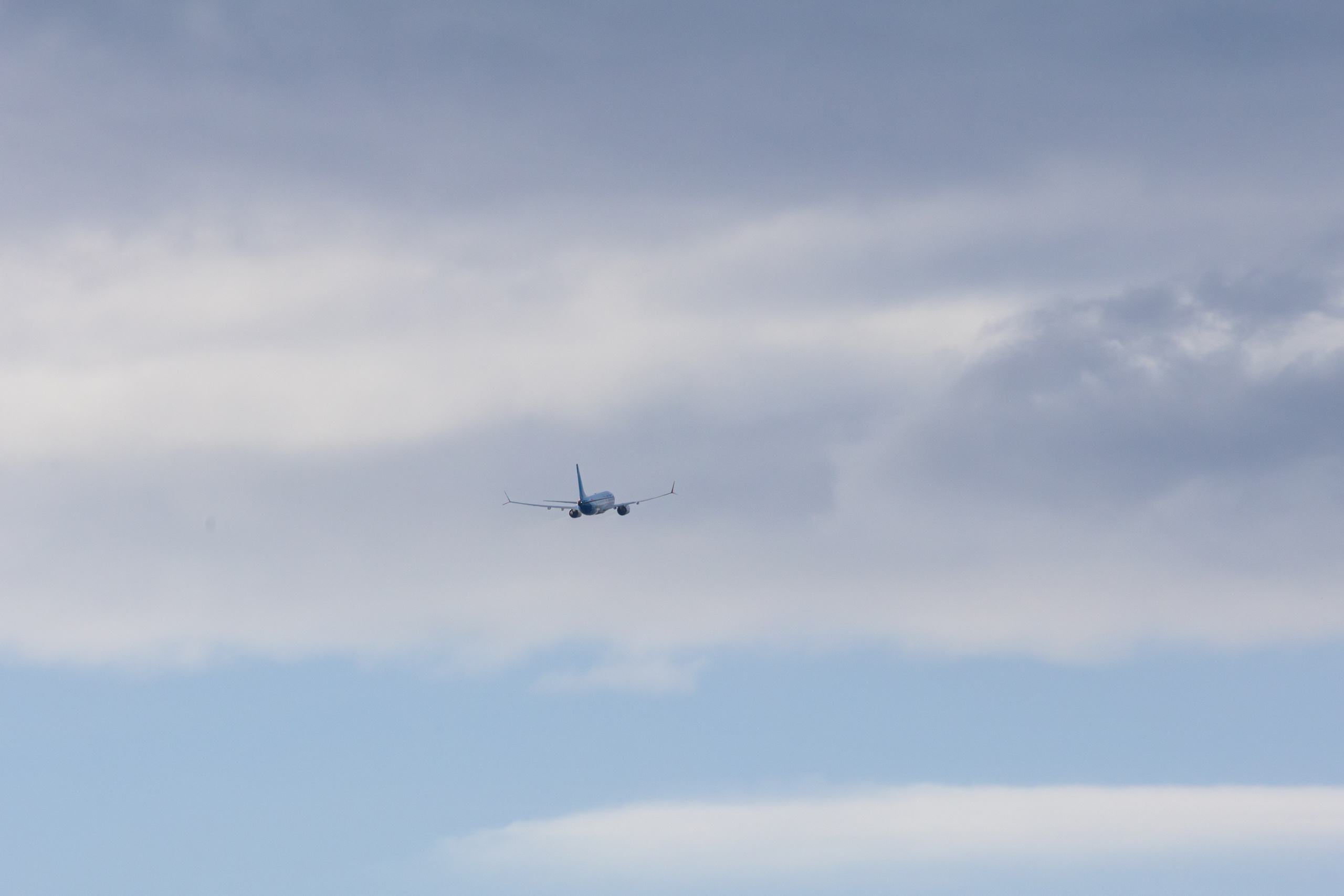 ფრთა ბუმბულისა და ფრთა რკინისა. FramefreeMan