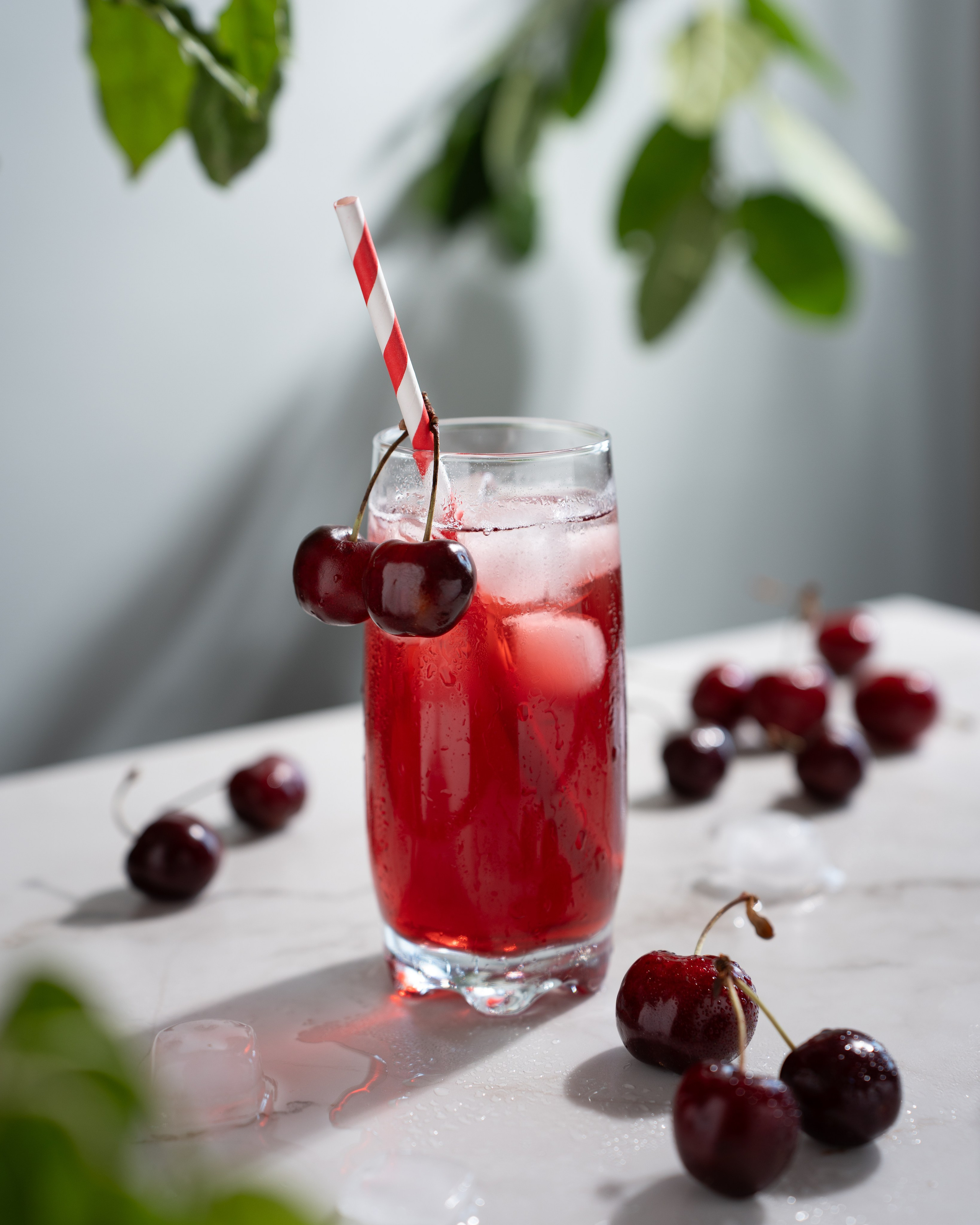 FoodPhoto Margo Mitsoul
