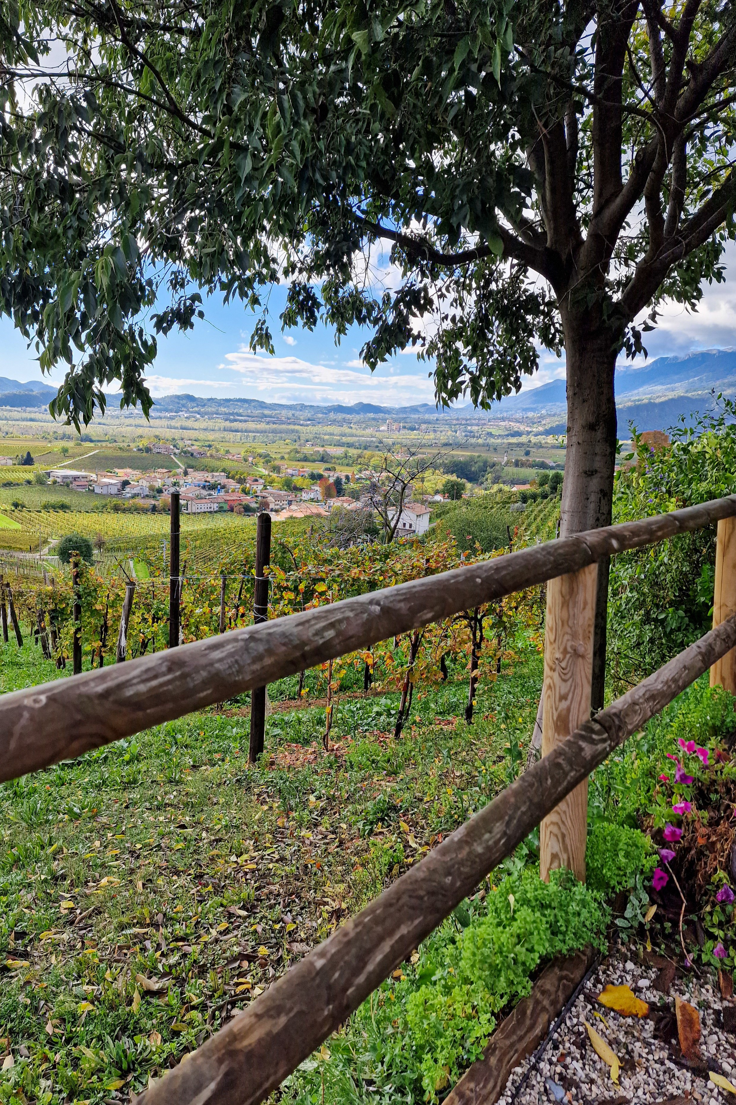 Paesaggi. Olga Manukhina fotografo in Sardegna