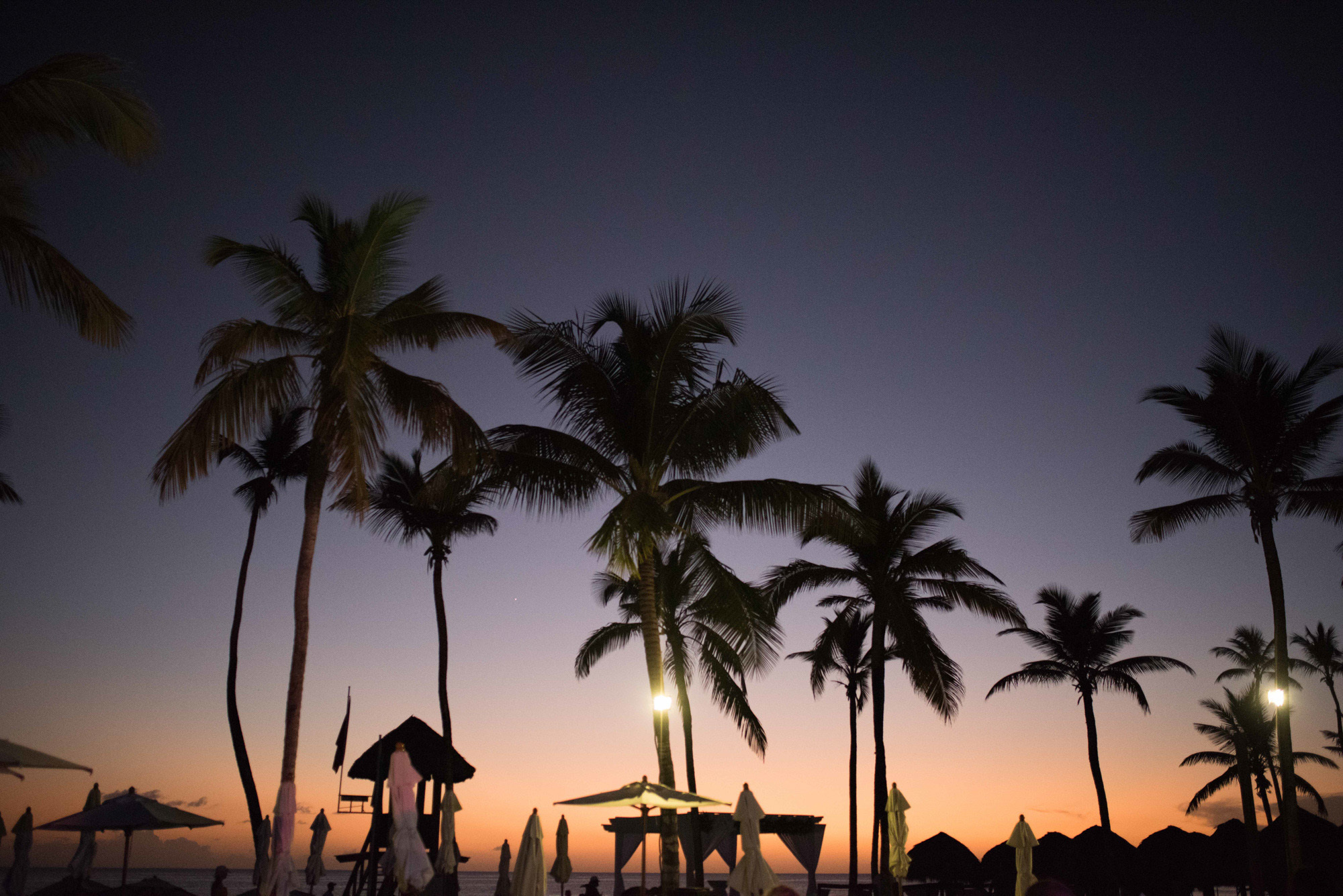 Beach with palm trees at sunset.