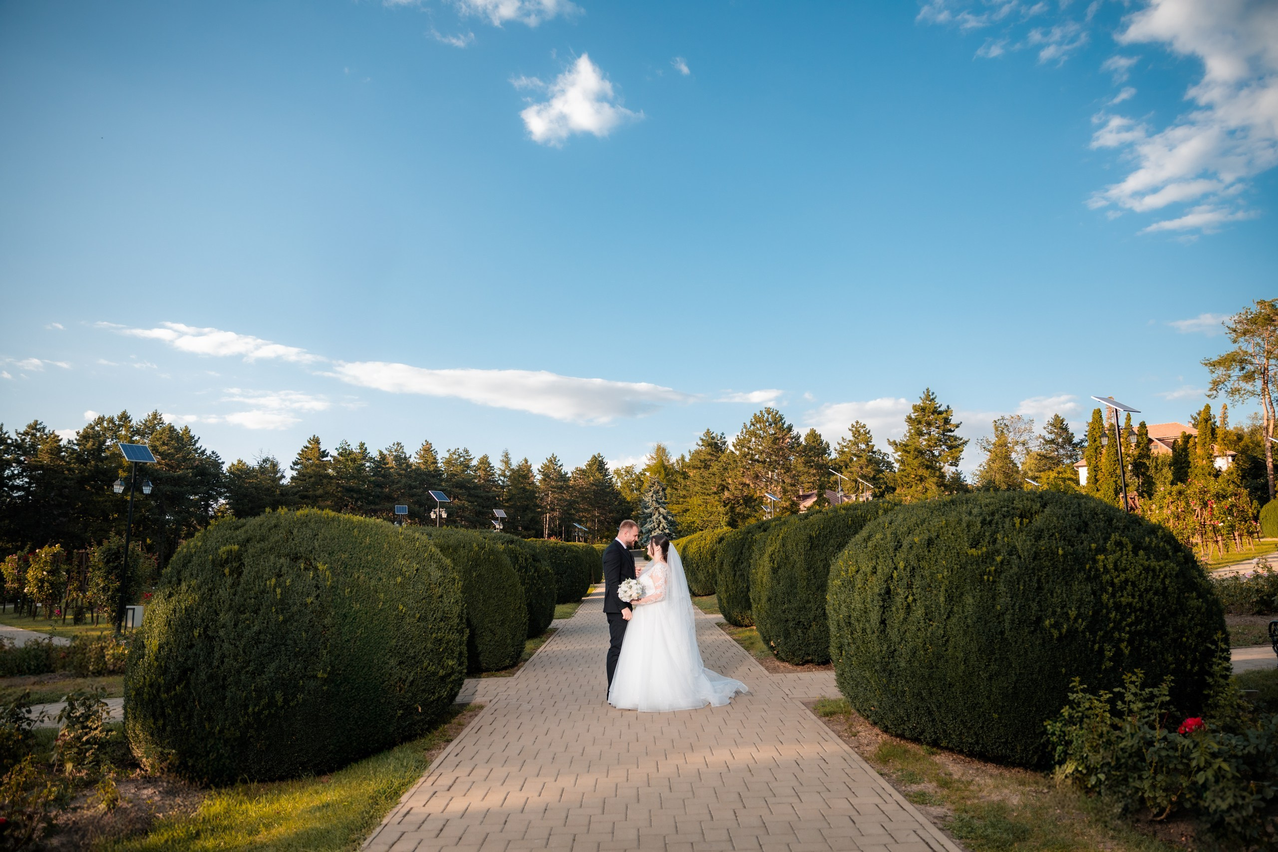 servicii foto. servicii foto Botoșani. servicii foto video Botoșani. fotograf nunta. fotograf evenimente. fotograf nunta Botoșani. Alin chirila. Alin chirila fotograf. Alinofotostudio.- Mire și mireasă – Sergiu & Liliana – ziua nunții, 2024 - Emoții în ziua nunții – Sergiu și Liliana - Dansul mirilor – fotografie artistică nuntă 2024 - Sedinta foto romantică în natură – Sergiu & Liliana - Rochia de mireasă și detalii de nuntă elegante