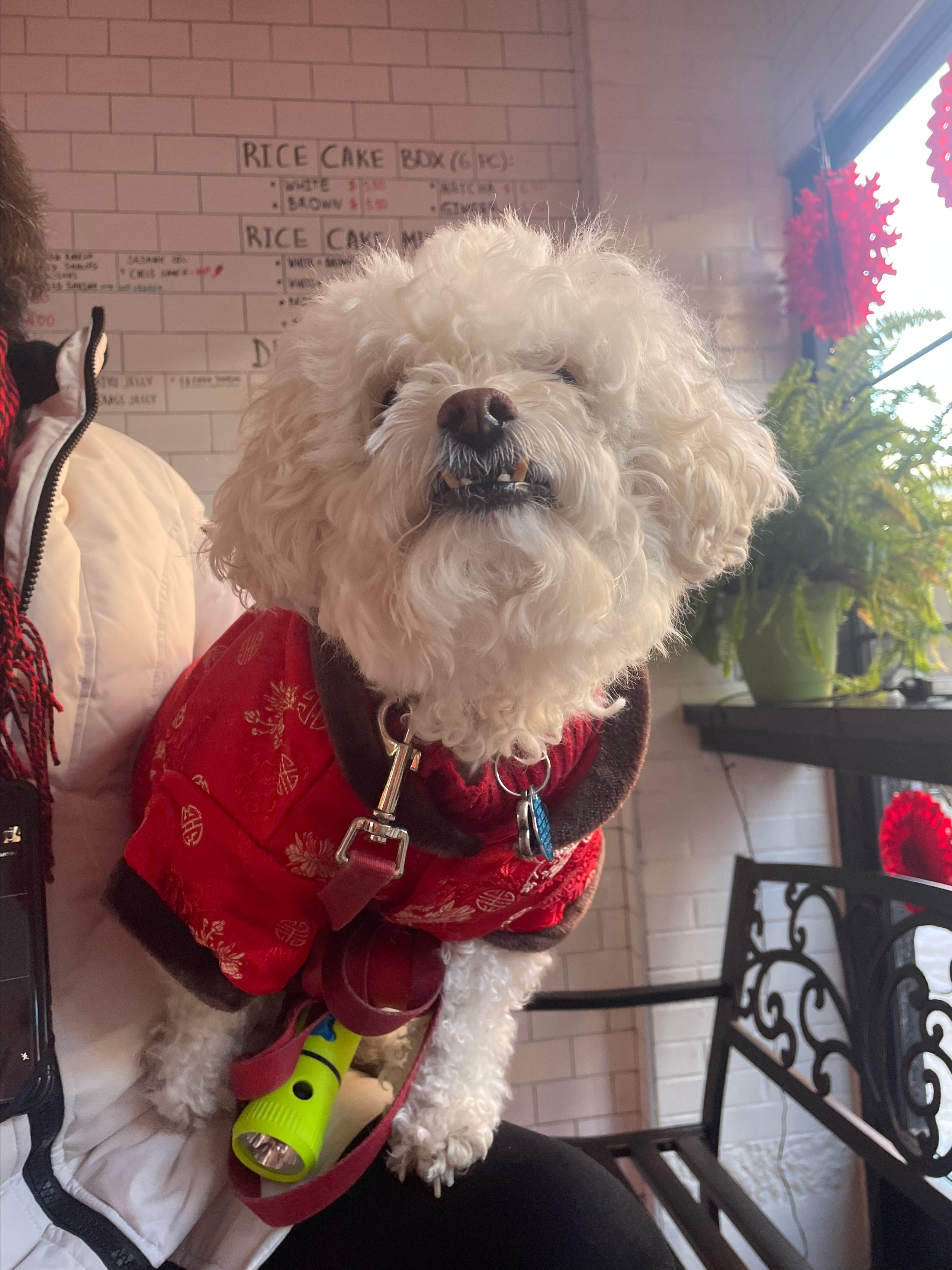 Store history. Fong On