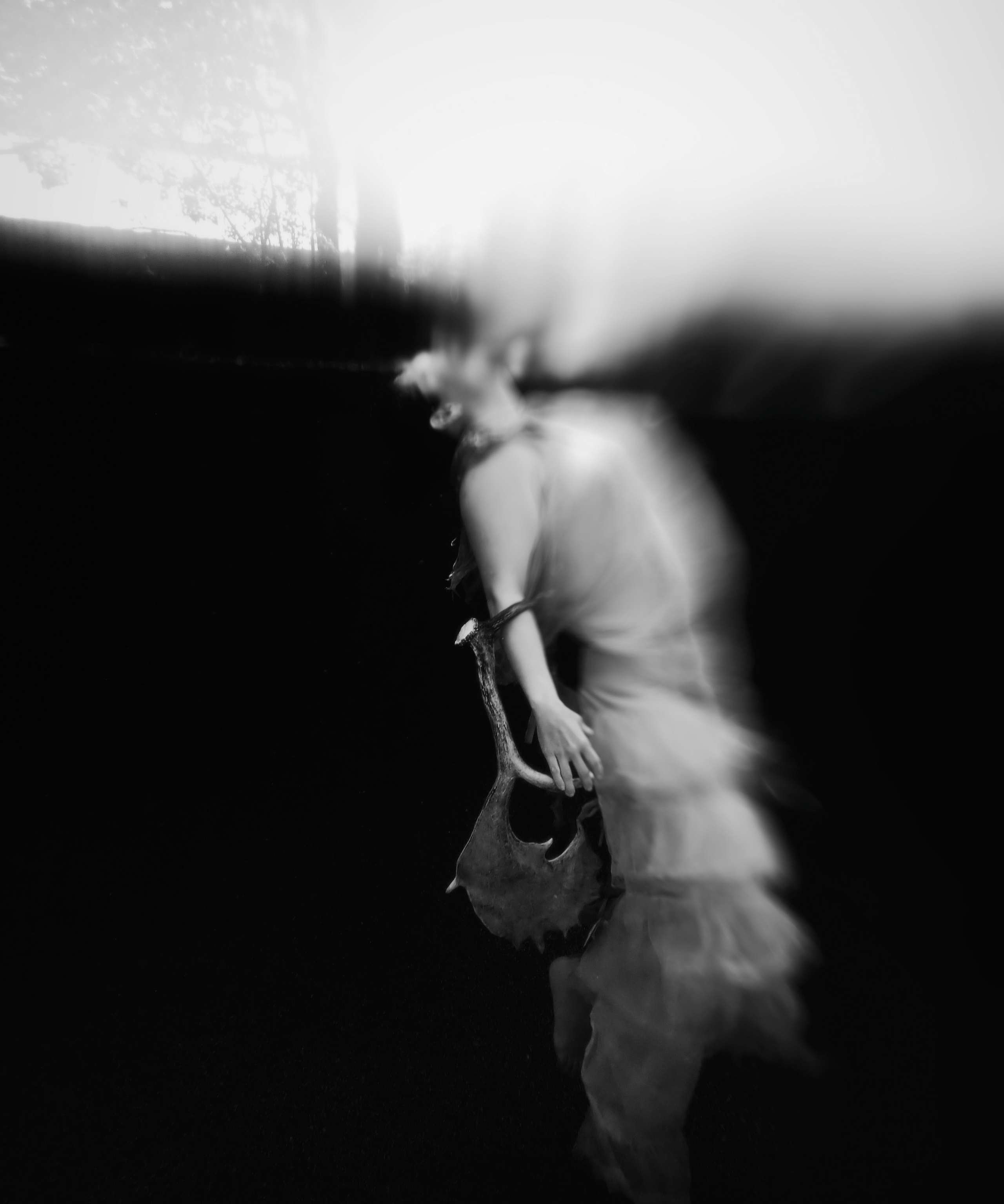 Photo by Kari Bishop