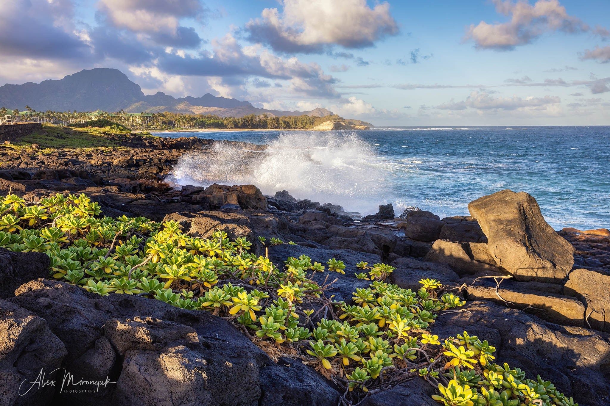 Kauai Photo Workshop
