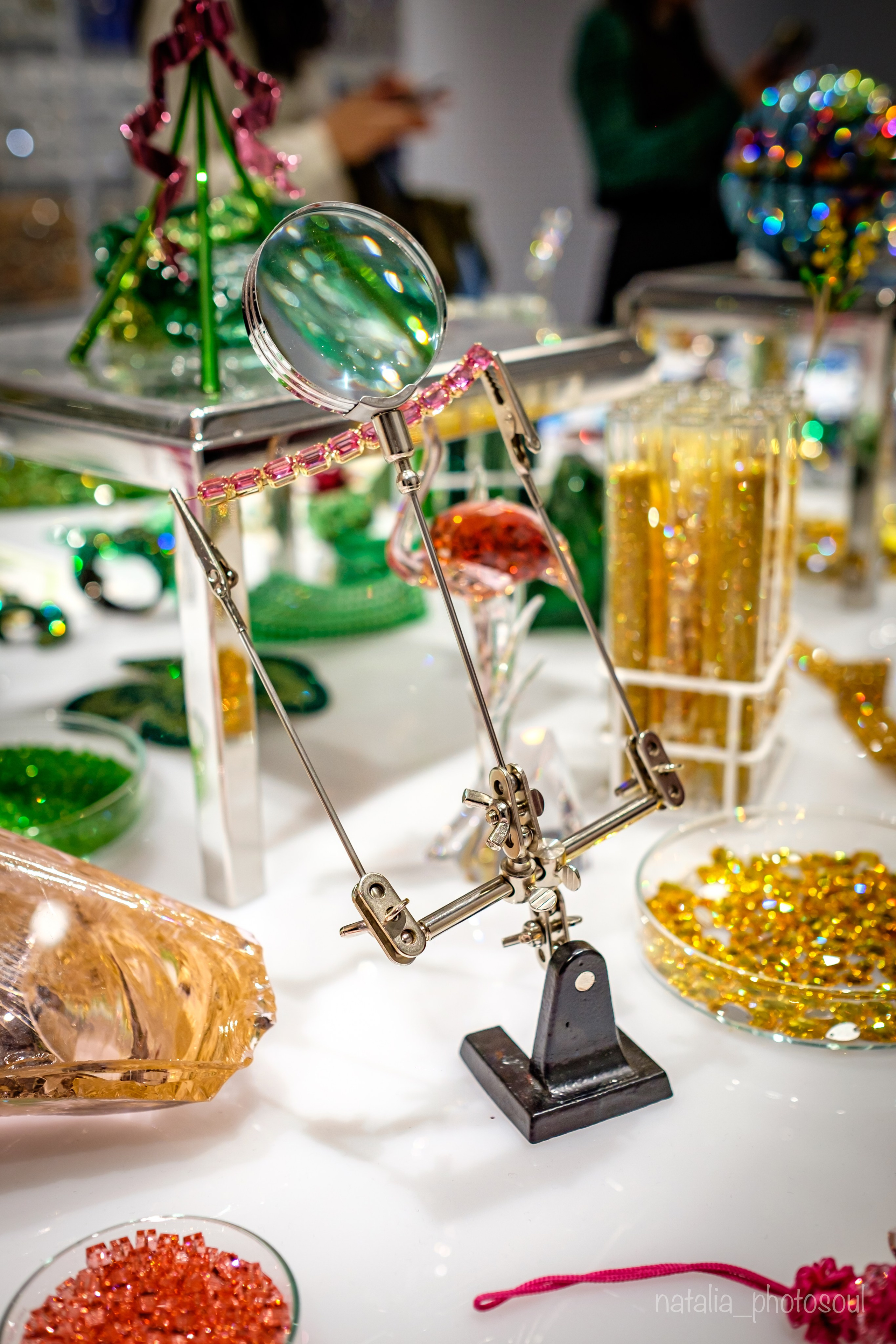 SWAROVSKI MASTERS OF LIGHT FROM VIENNA TO SEOUL. Photographer in Seoul Dobrokvashina Natalya