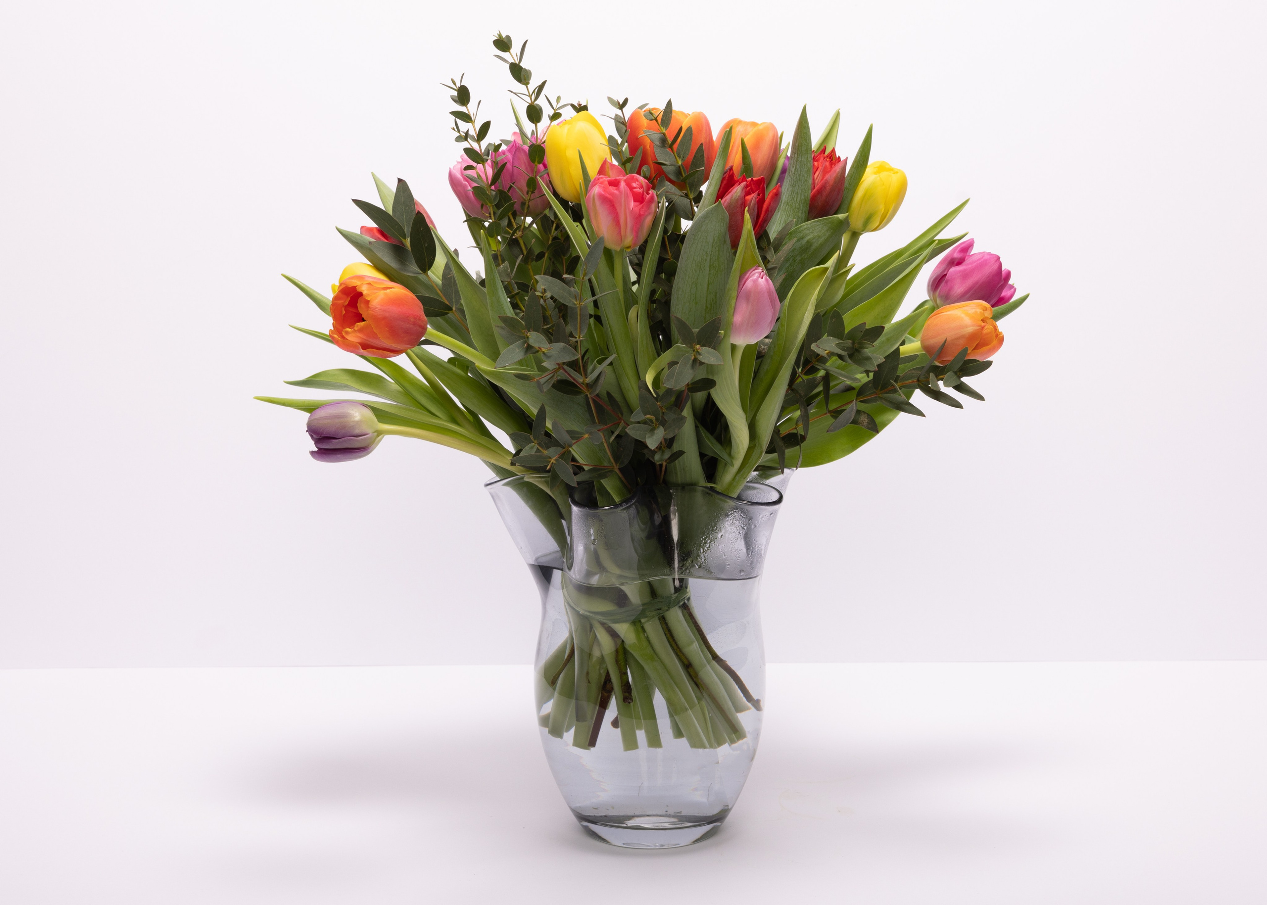 Levering i Aarhus og omegn. Glæd en du holder af med disse farverige tulipaner. Buketten bestående af tulipaner i blandede nuancer og prydgrønt. Bemærk, at blomsterne kan variere baseret på vores sortiment. En tidløs gestus, ekskl. vase.