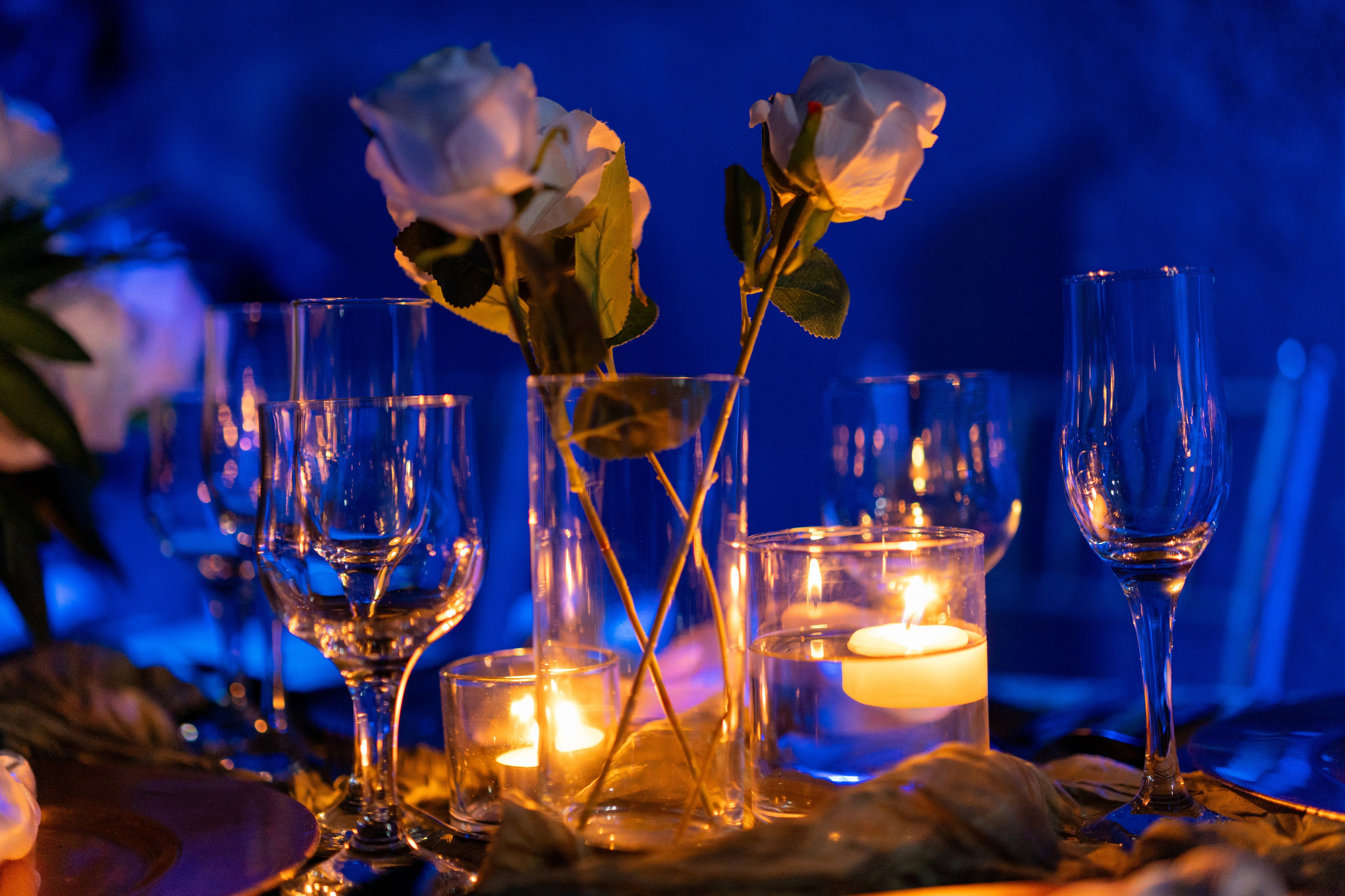 Test. Luminous Entertainment Ja