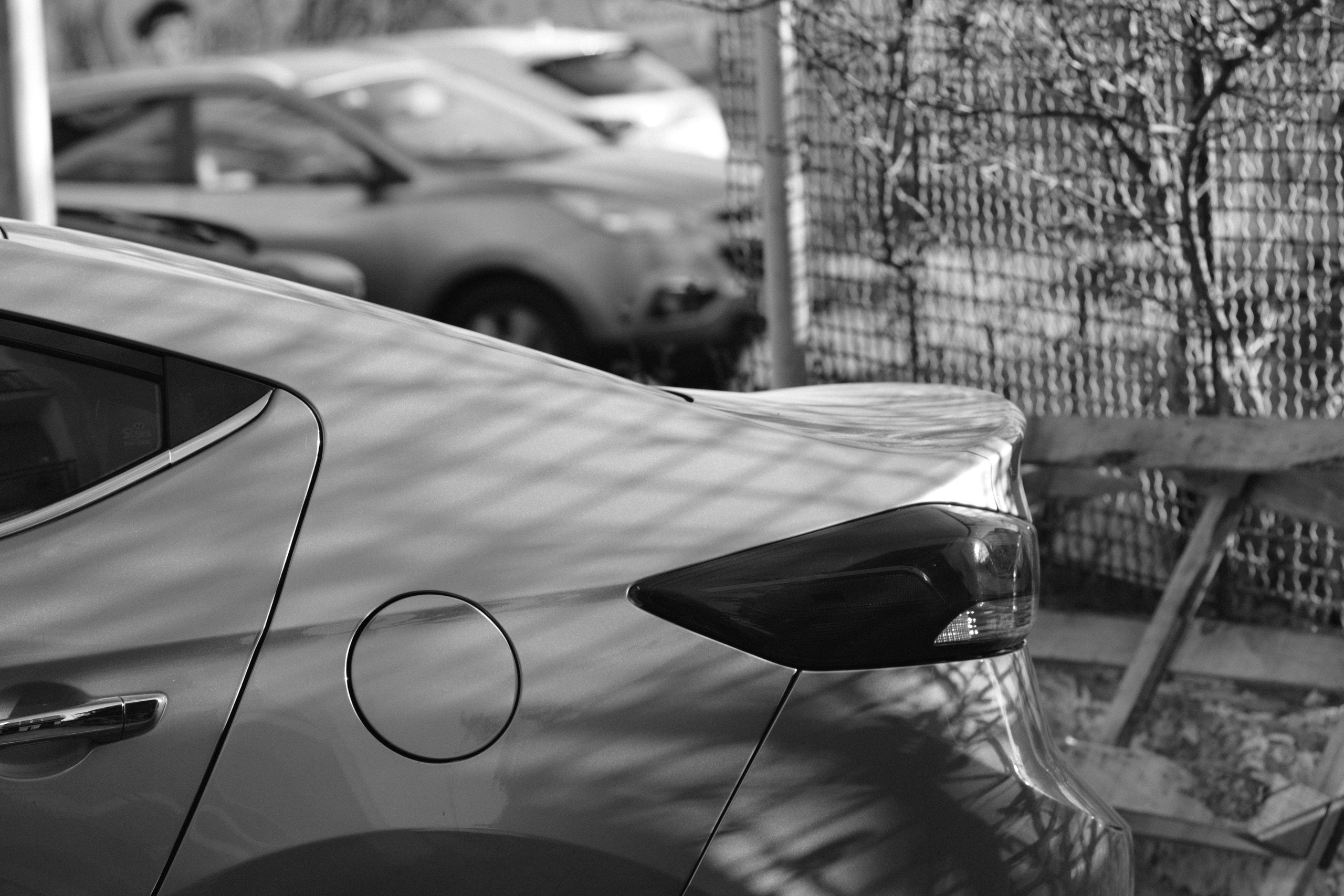 B&W ACROS + G. @Gio.Fujifilm official Fujifilm Ambassador & X-Photographer in Georgia