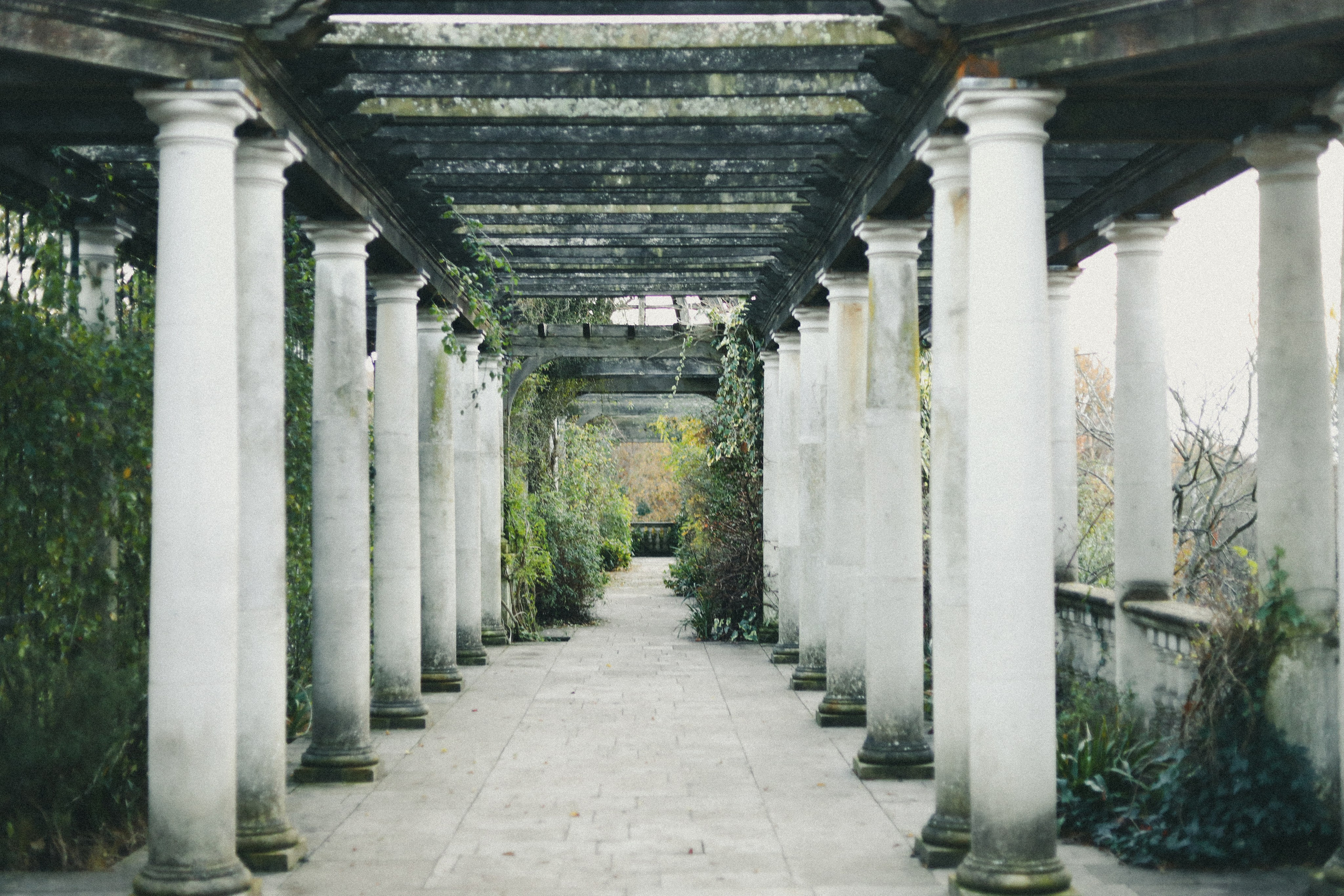Zoe Hampstead Heath. Victoria Dini. Art photography in London / Folkestone, UK