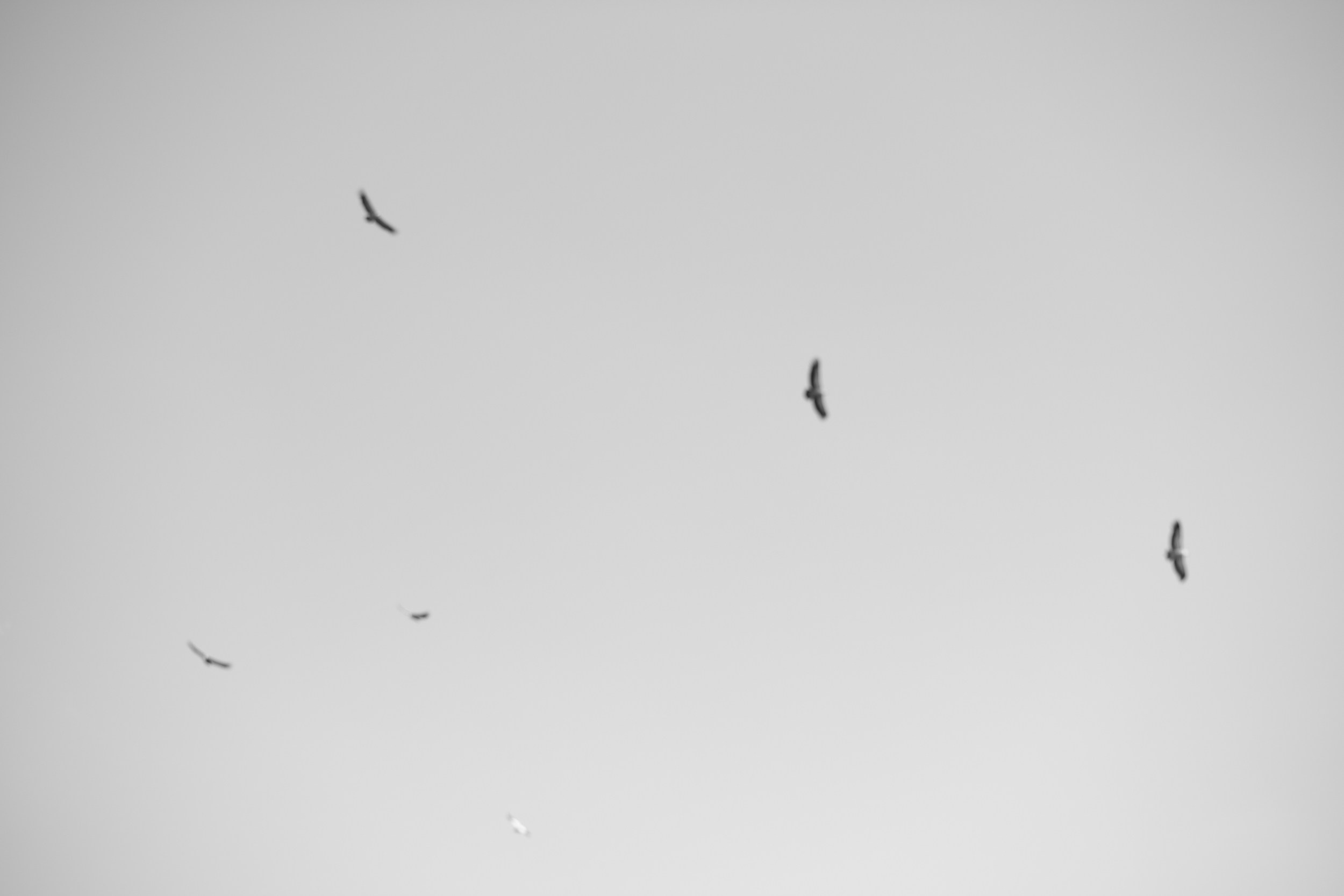 Archaeology in the Presence, Goris 2025. Areg Balayan — Photographer/Visual Artist