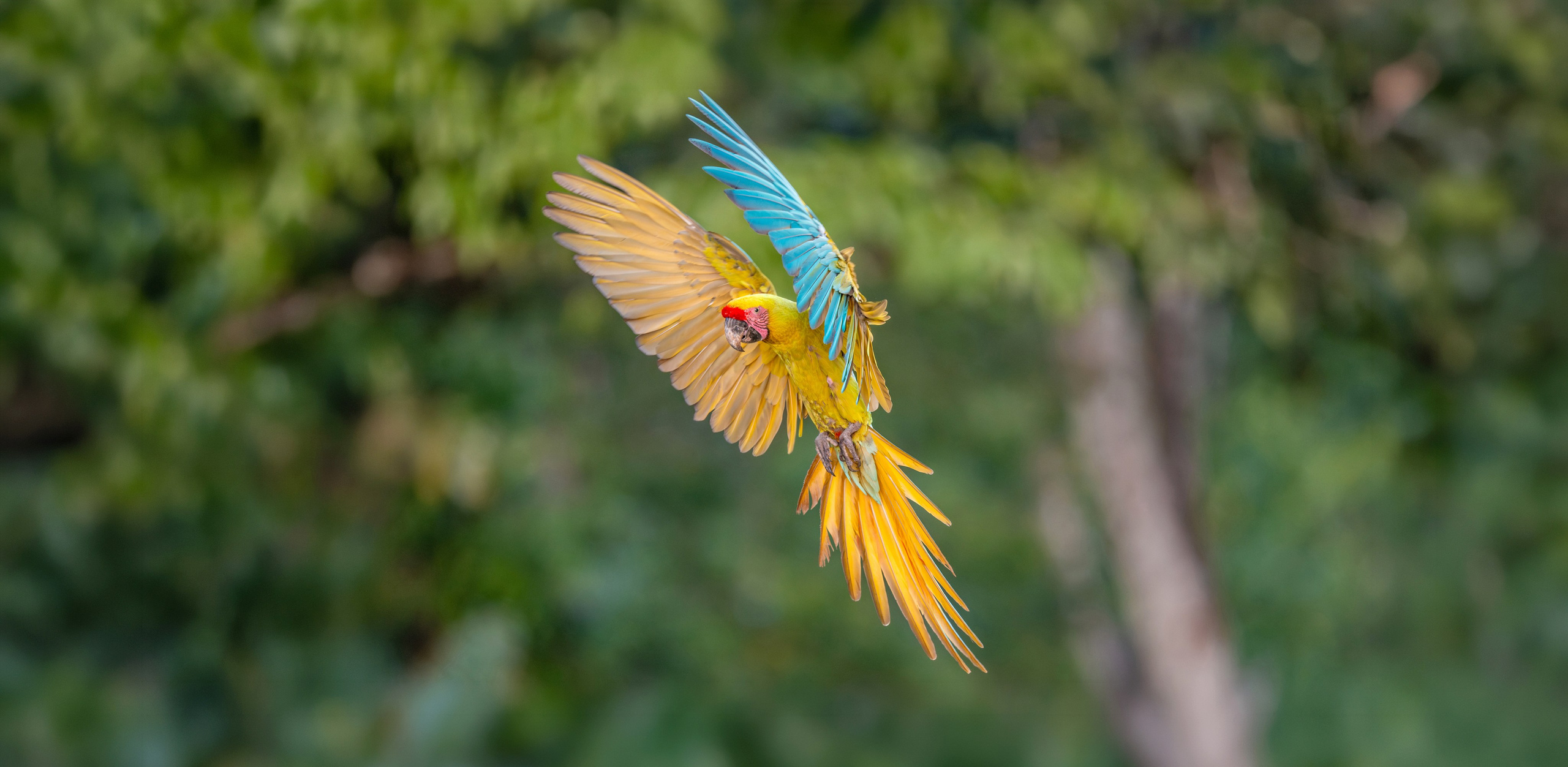 Nature photographer Yuri Soria-Galvarro