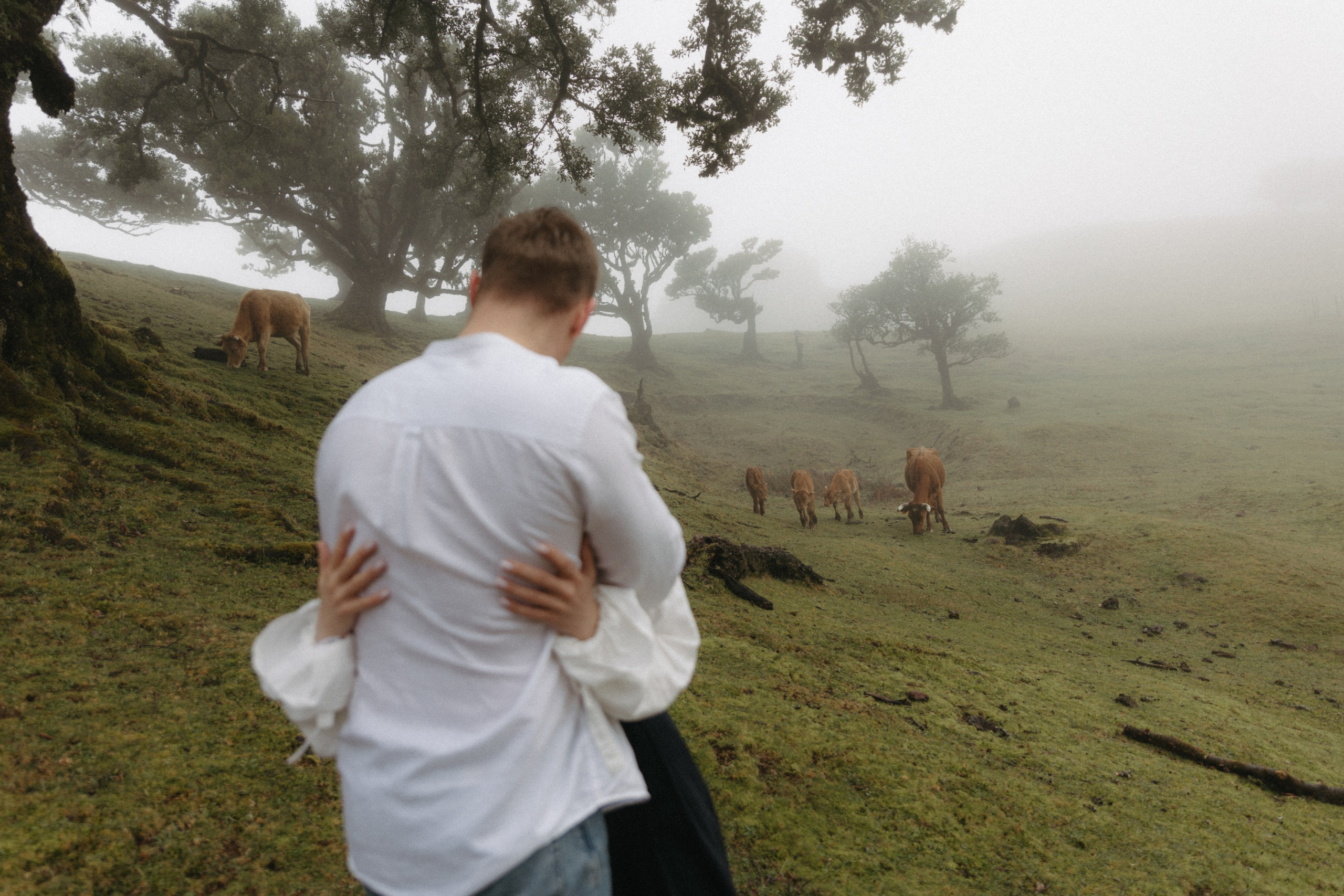 Magic of Fanal Forest. Wedding photographer and videographer based in Timisoara, Romania
