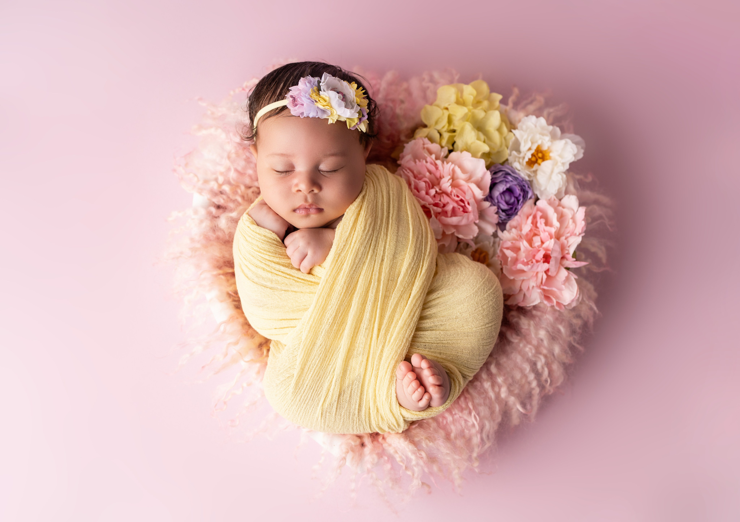 Packages and pricing. JaneProPhoto | Tampa Newborn Photographer