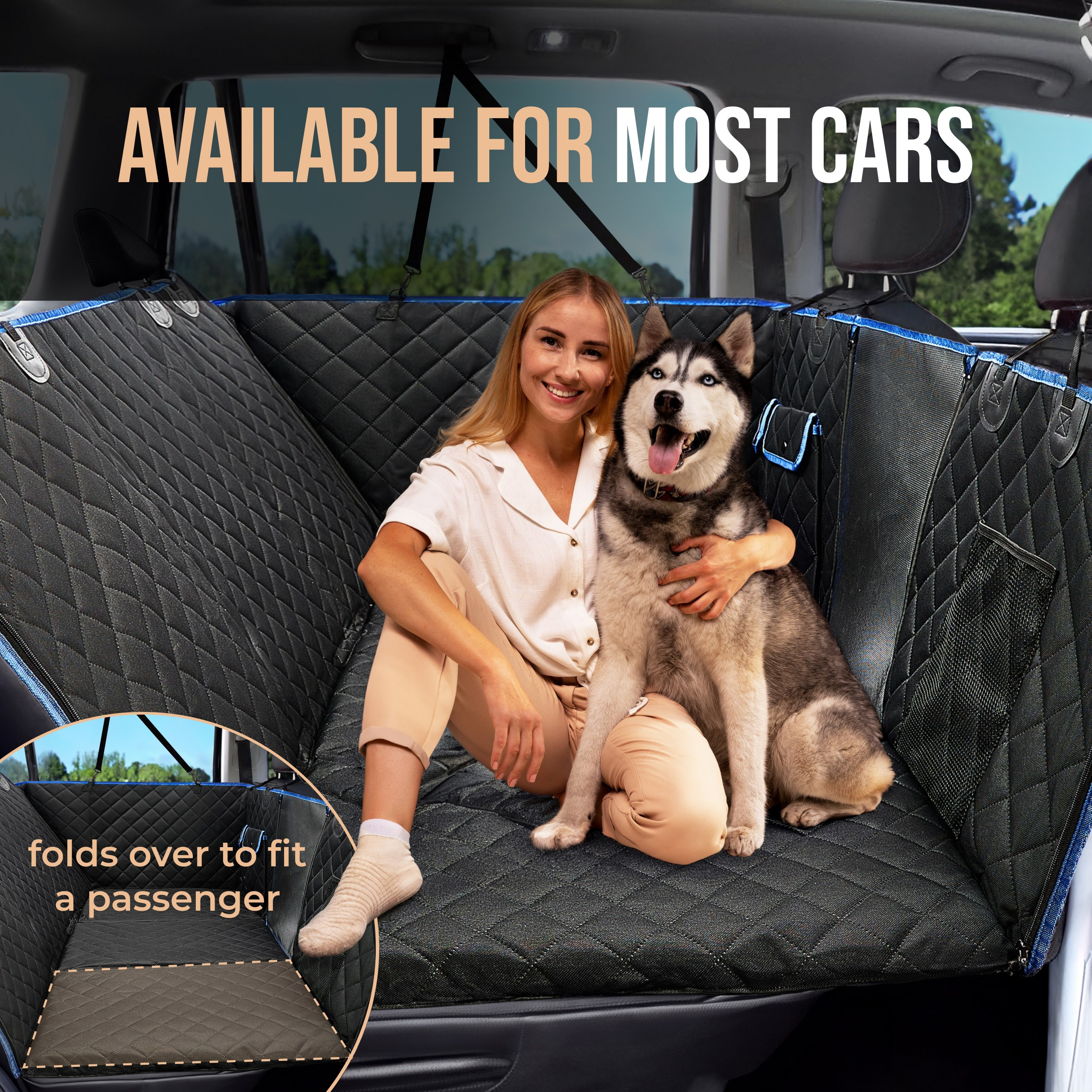 E-commerce Photography for Pet Products | Boost Sales of Animal Accessories