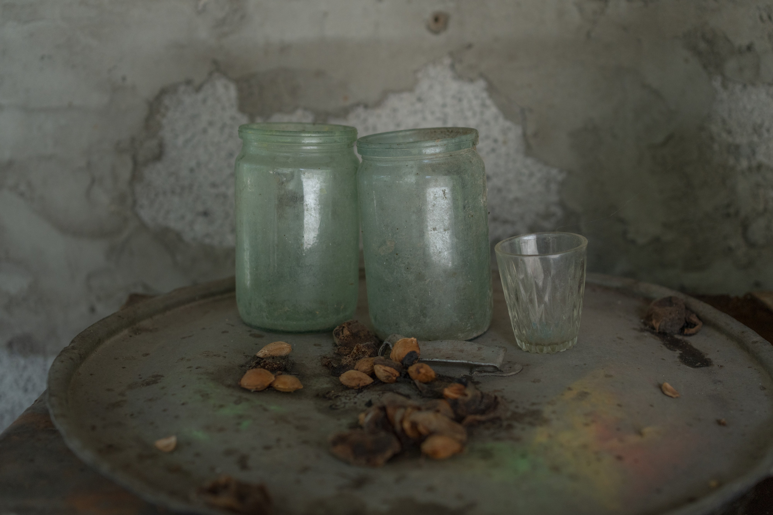 Still life with apricot pits in the village of Aygedzor, Armenia.