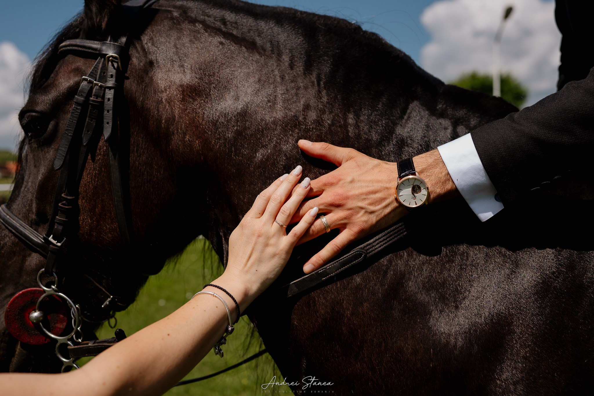 Edi & Oli. Andrei Stanea