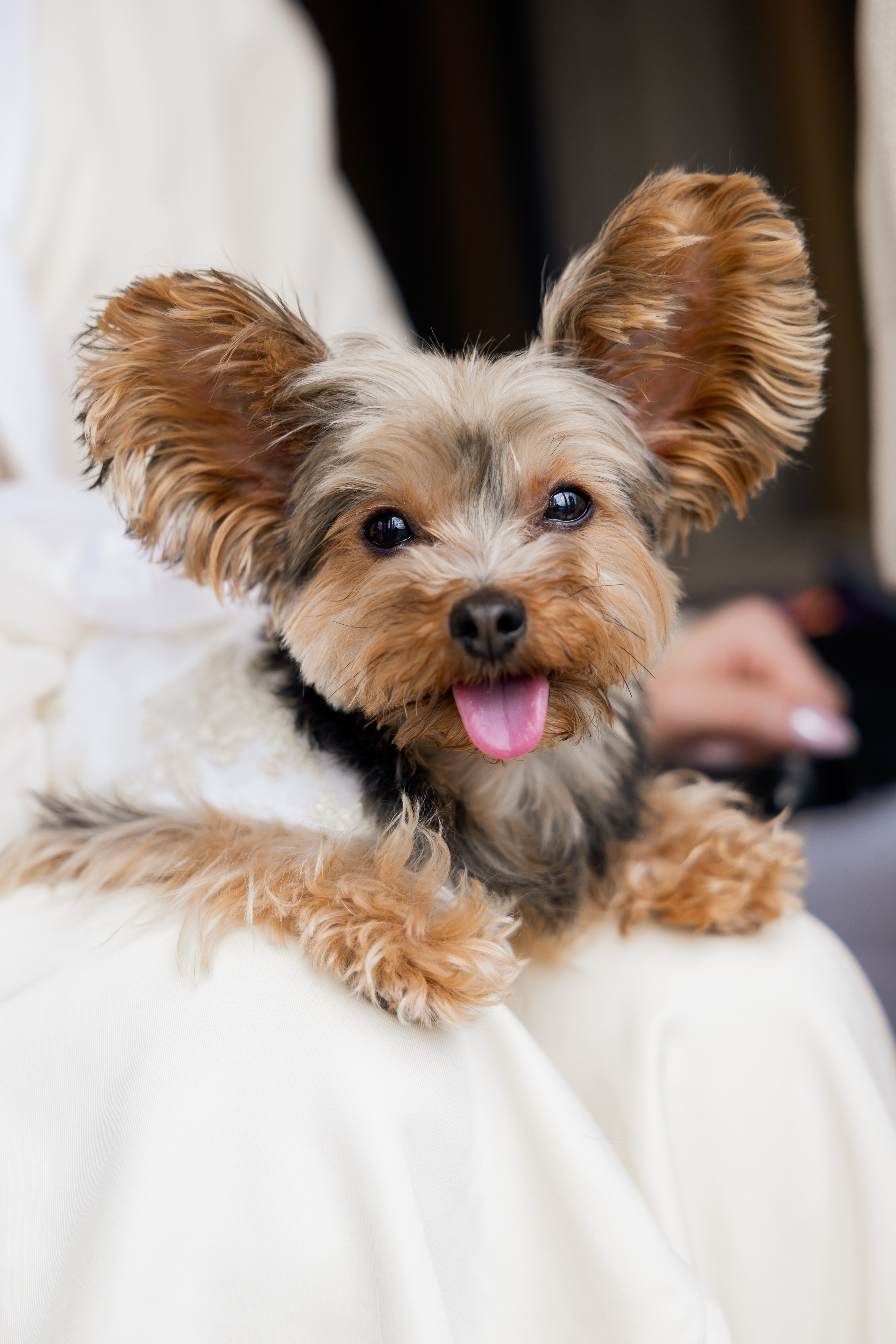 Irina Ermak wedding photographer in New York