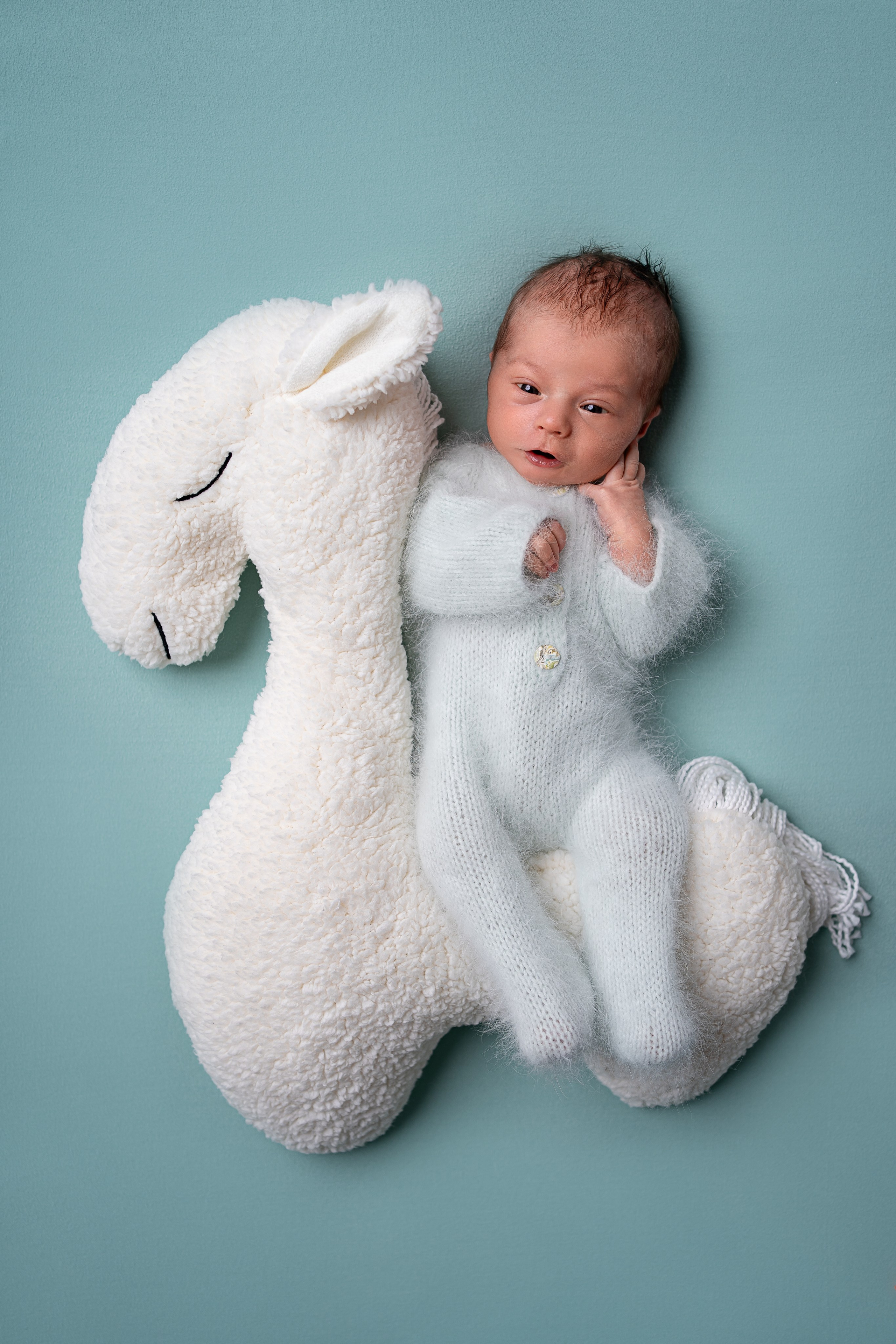 Neugeborenenfotos in Berlin – Studio oder bei Ihnen zu Hause