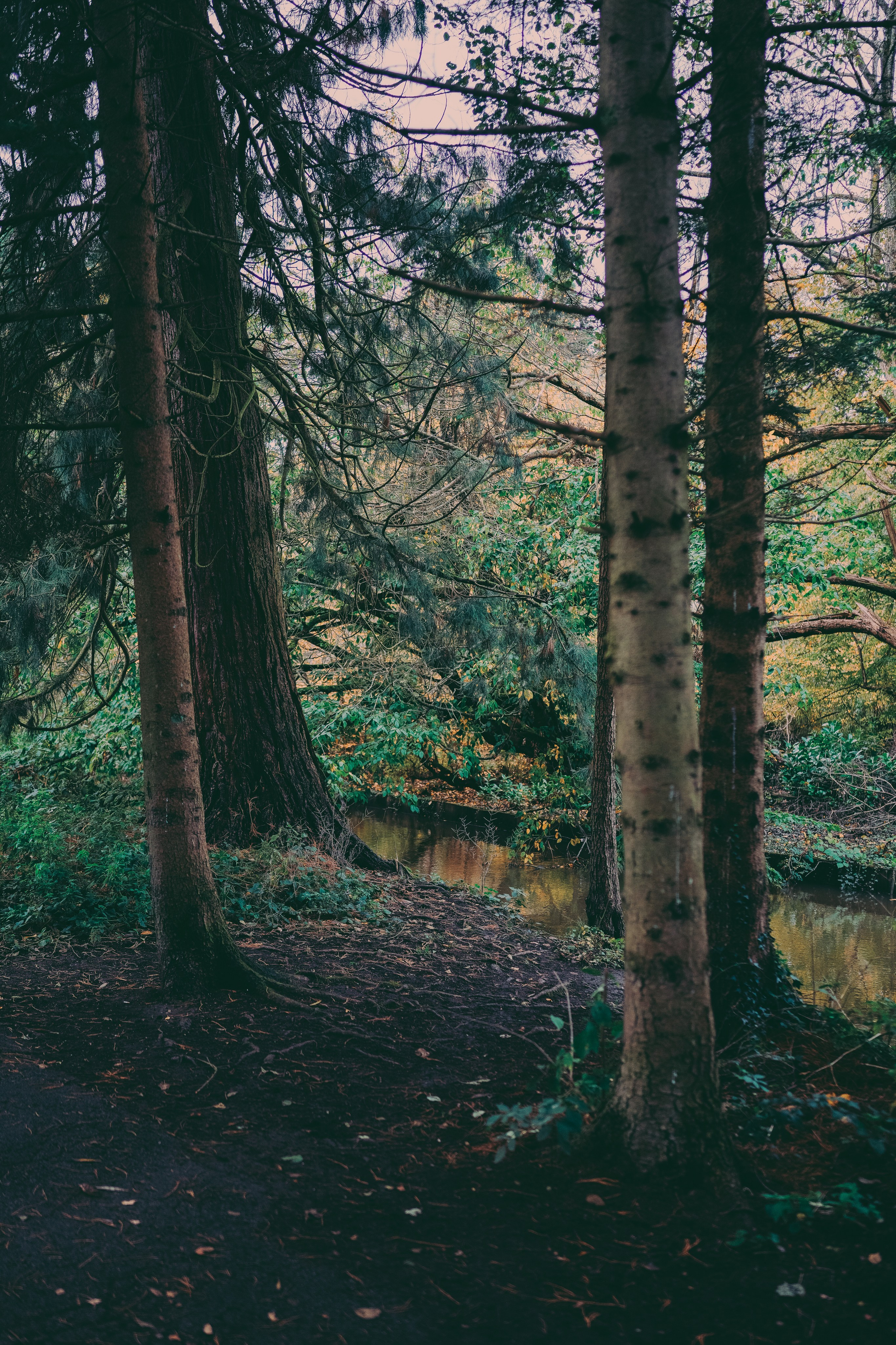 Family photo shoot in Brueton park
