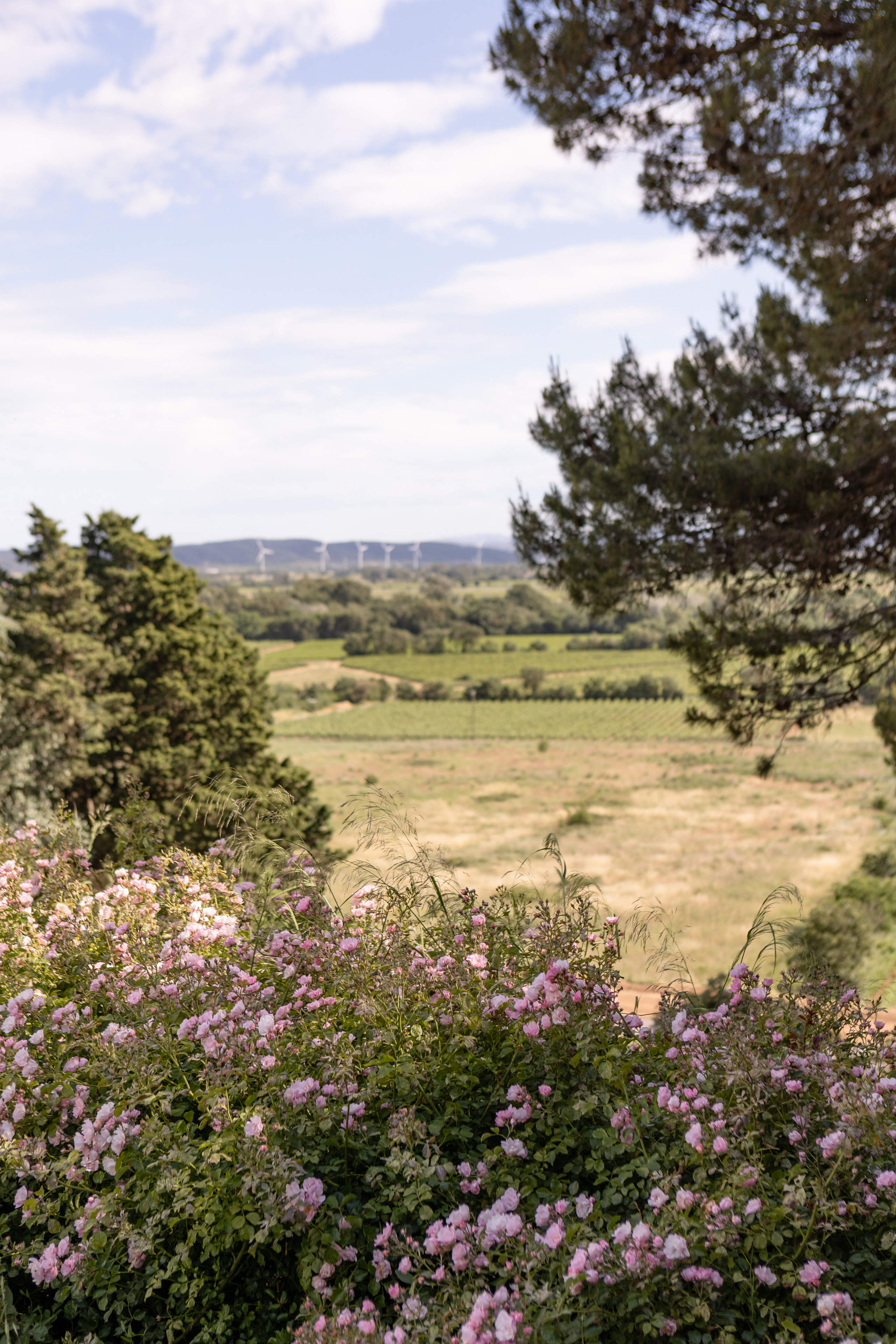 Corporate team building at Chateau de Paraza. Eugénie Smirnova — your photographer in Toulouse and southwest France