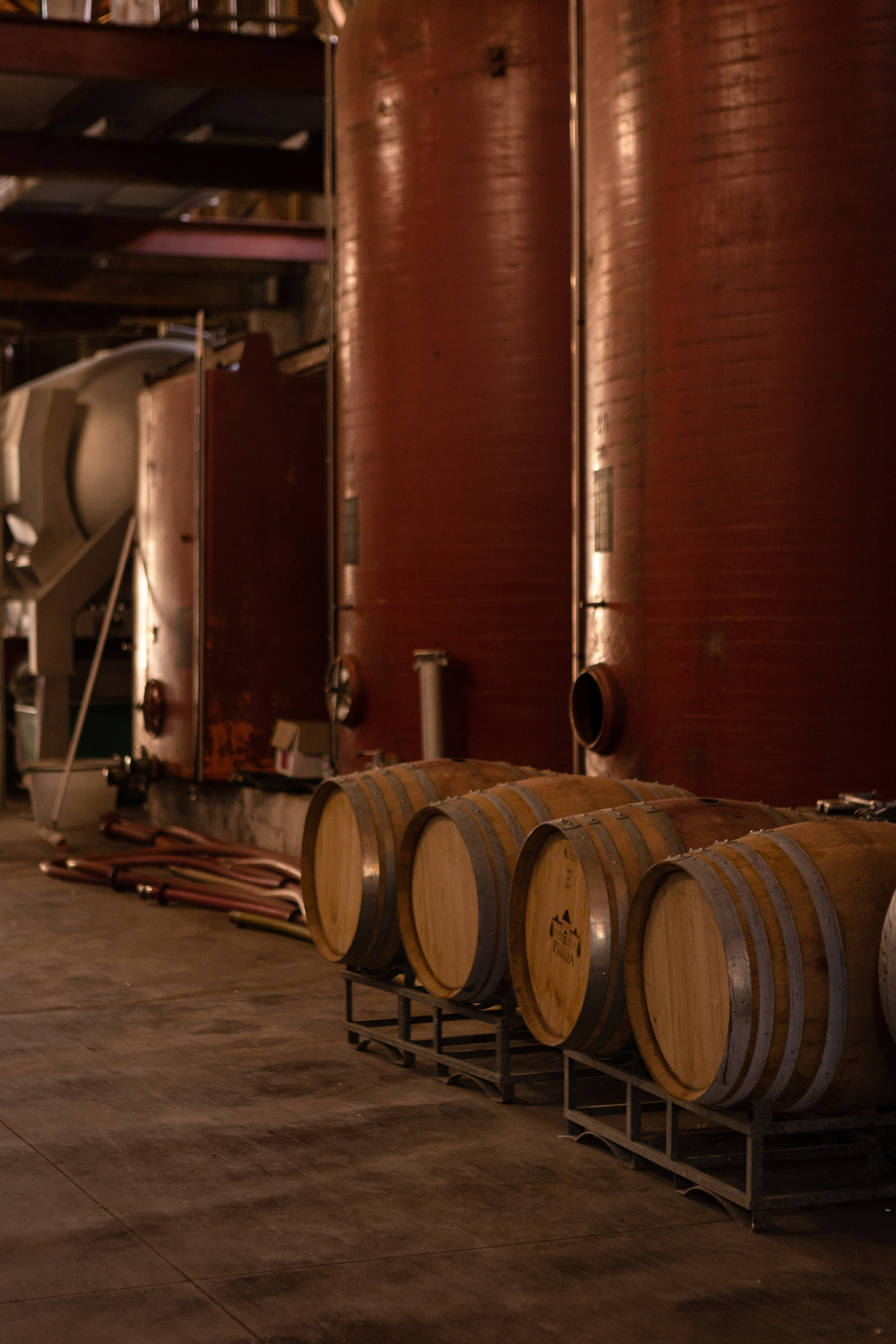 Corporate team building at Chateau de Paraza. Eugénie Smirnova — your photographer in Toulouse and southwest France