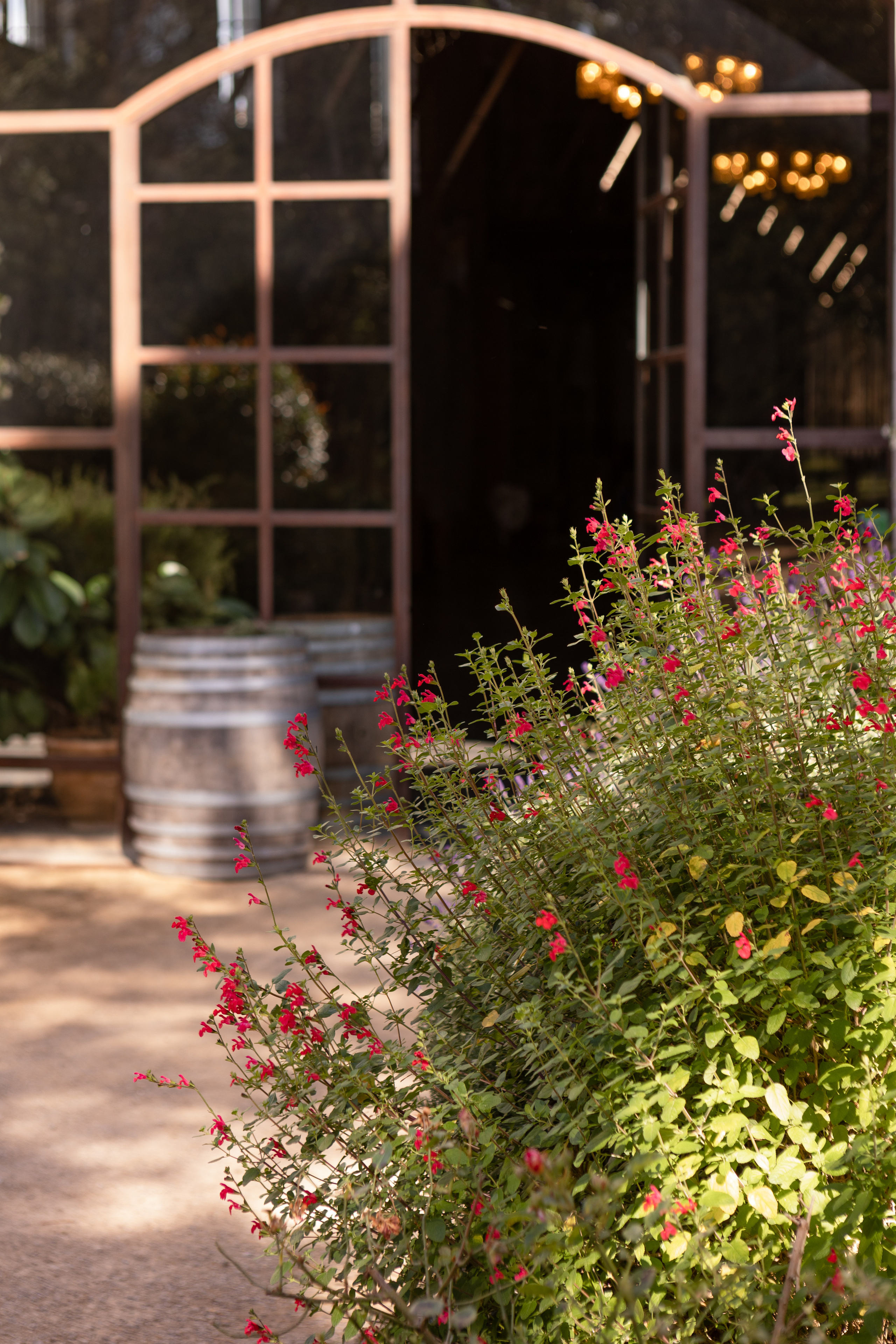 Corporate team building at Chateau de Paraza. Eugénie Smirnova — your photographer in Toulouse and southwest France