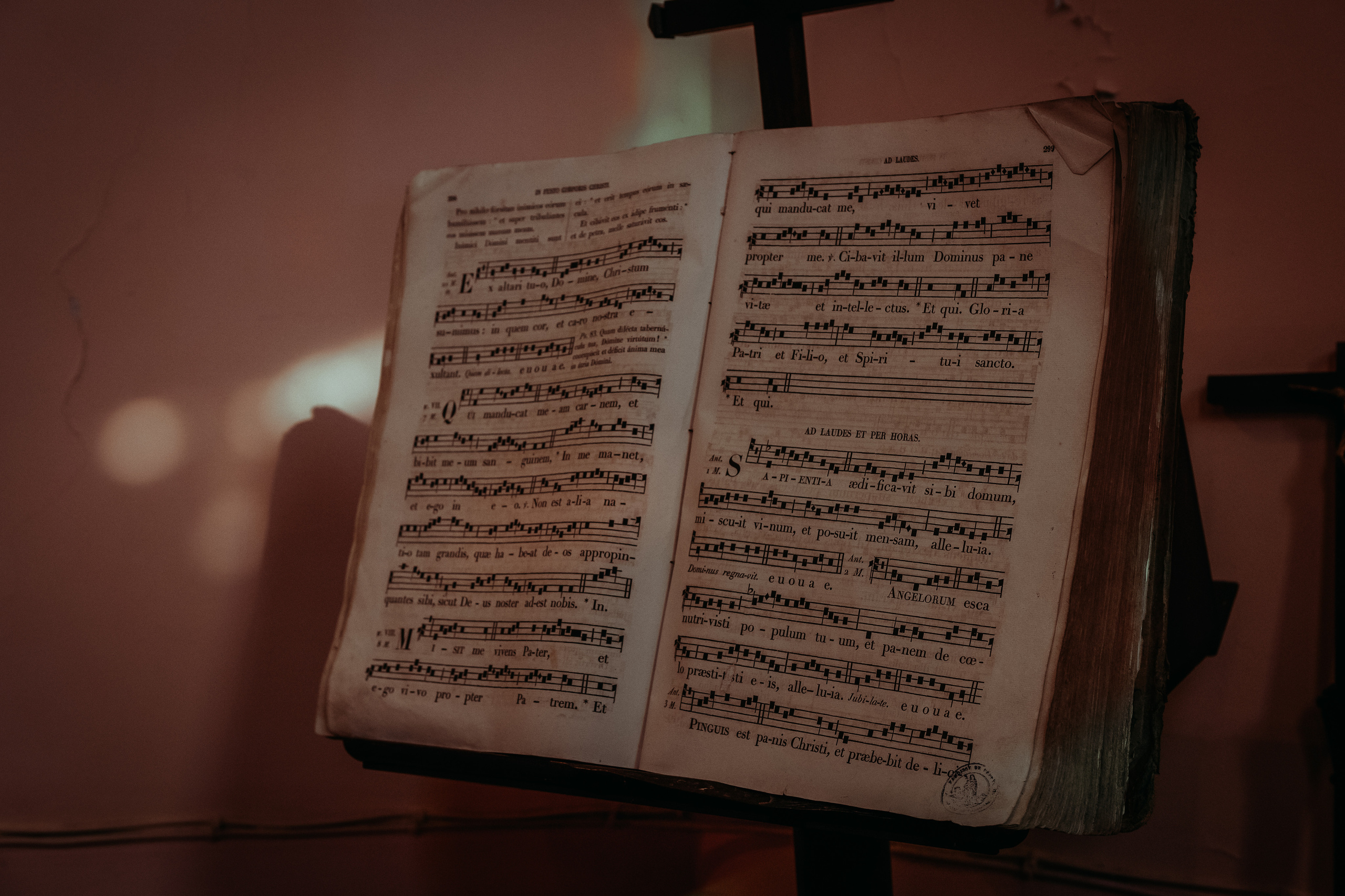 Крестины Роксаны. Евгения Смирнова — Ваш фотограф в Тулузе и на юго-западе Франции