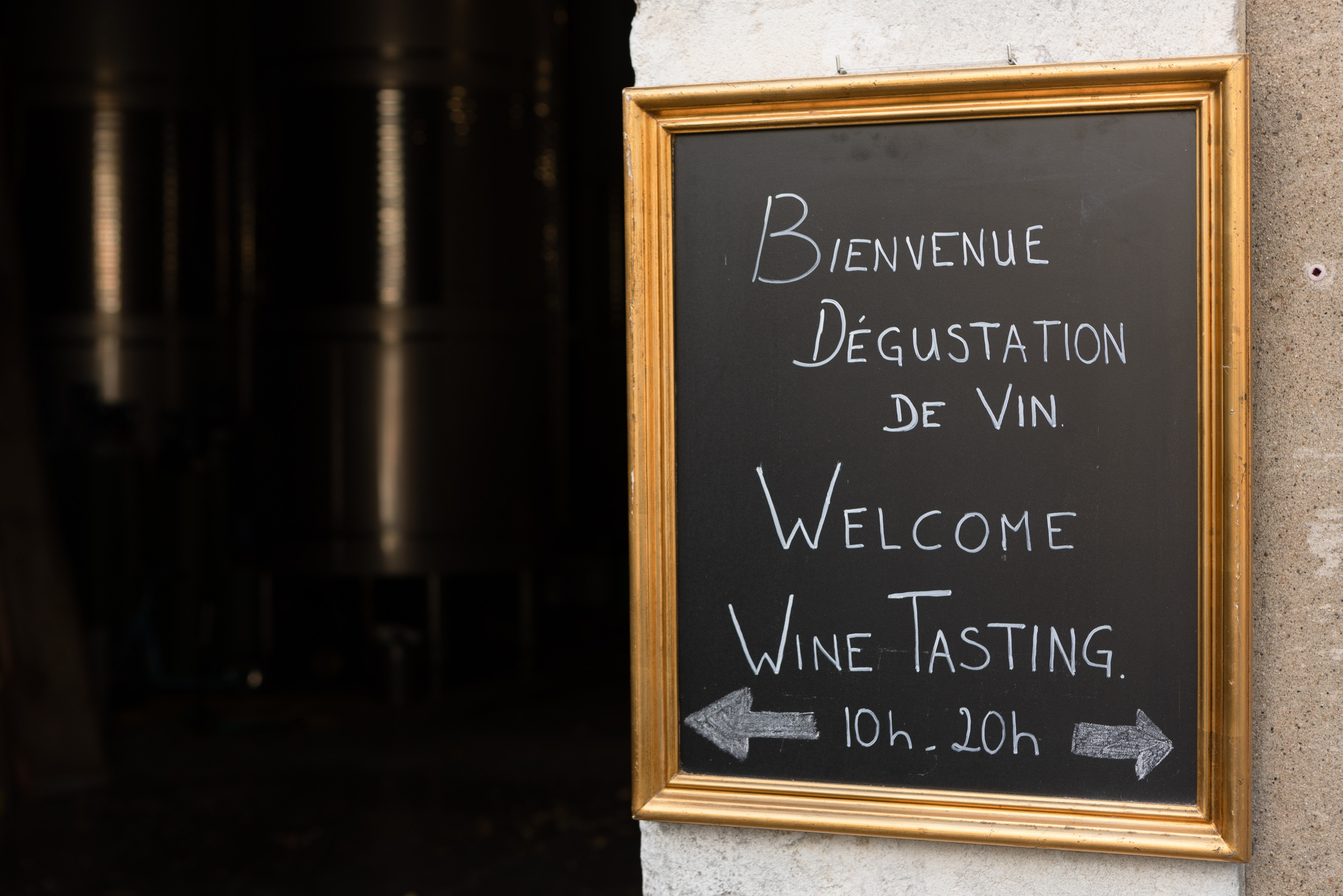 Corporate team building at Chateau de Paraza. Eugénie Smirnova — your photographer in Toulouse and southwest France