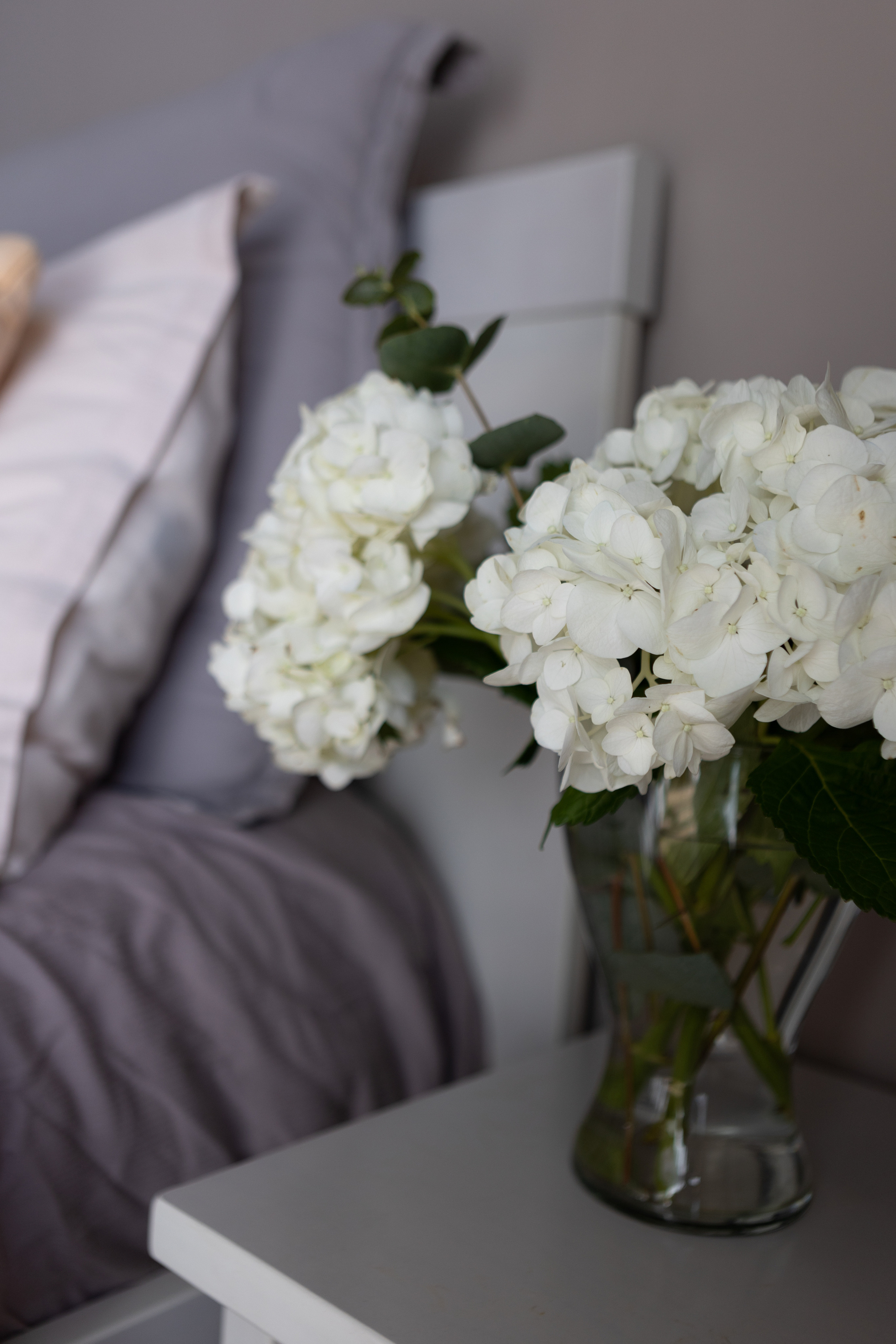 New born home photo session in Toulouse. Eugénie Smirnova — photographe à Toulouse et dans le sud-ouest de la France