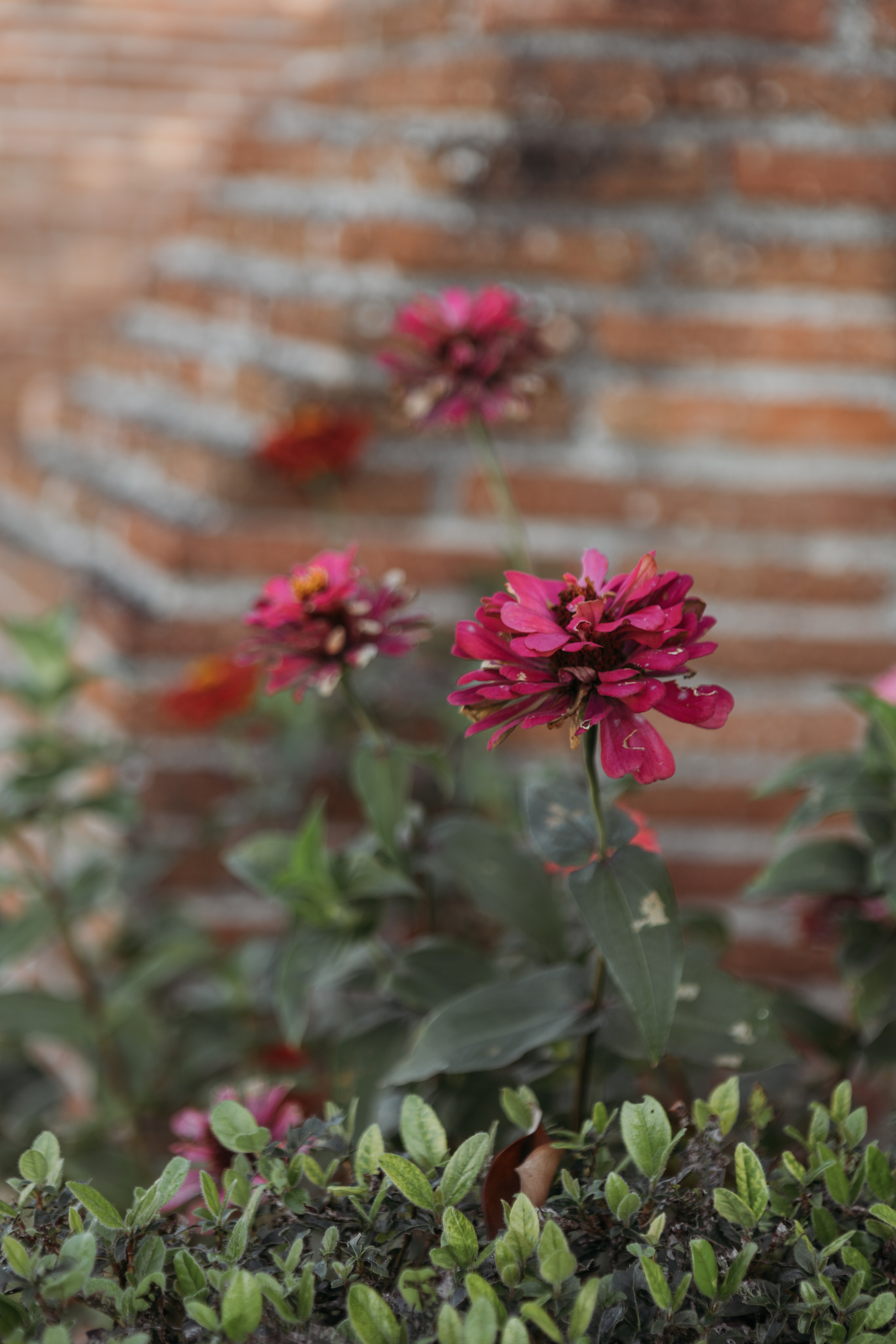 Baptême d’Eliott. Eugénie Smirnova — photographe à Toulouse et dans le sud-ouest de la France