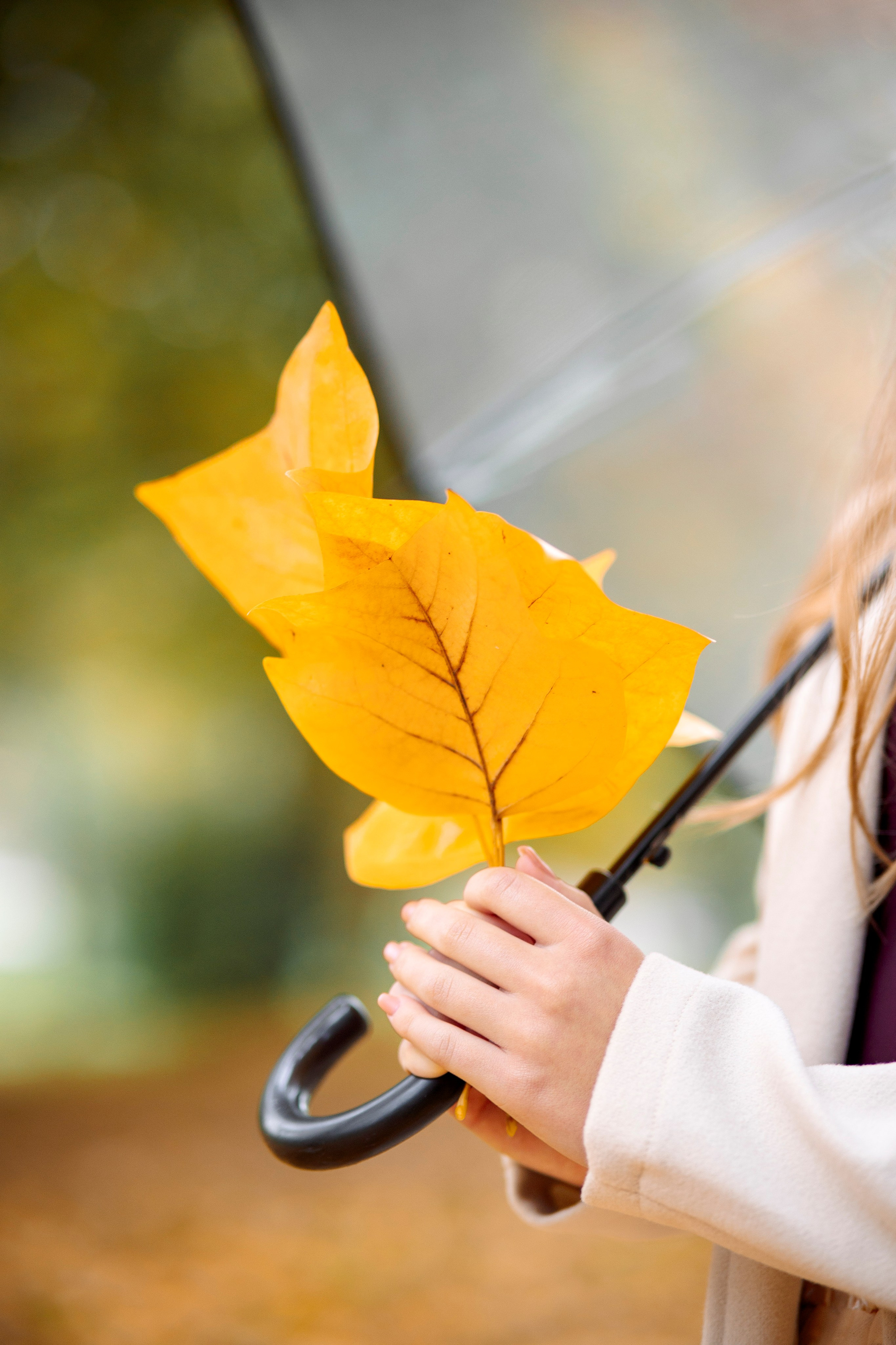 Herbstfotoshooting in Werl. Fotograf NRW aus Wickede Ruhr, Milla Kunst
